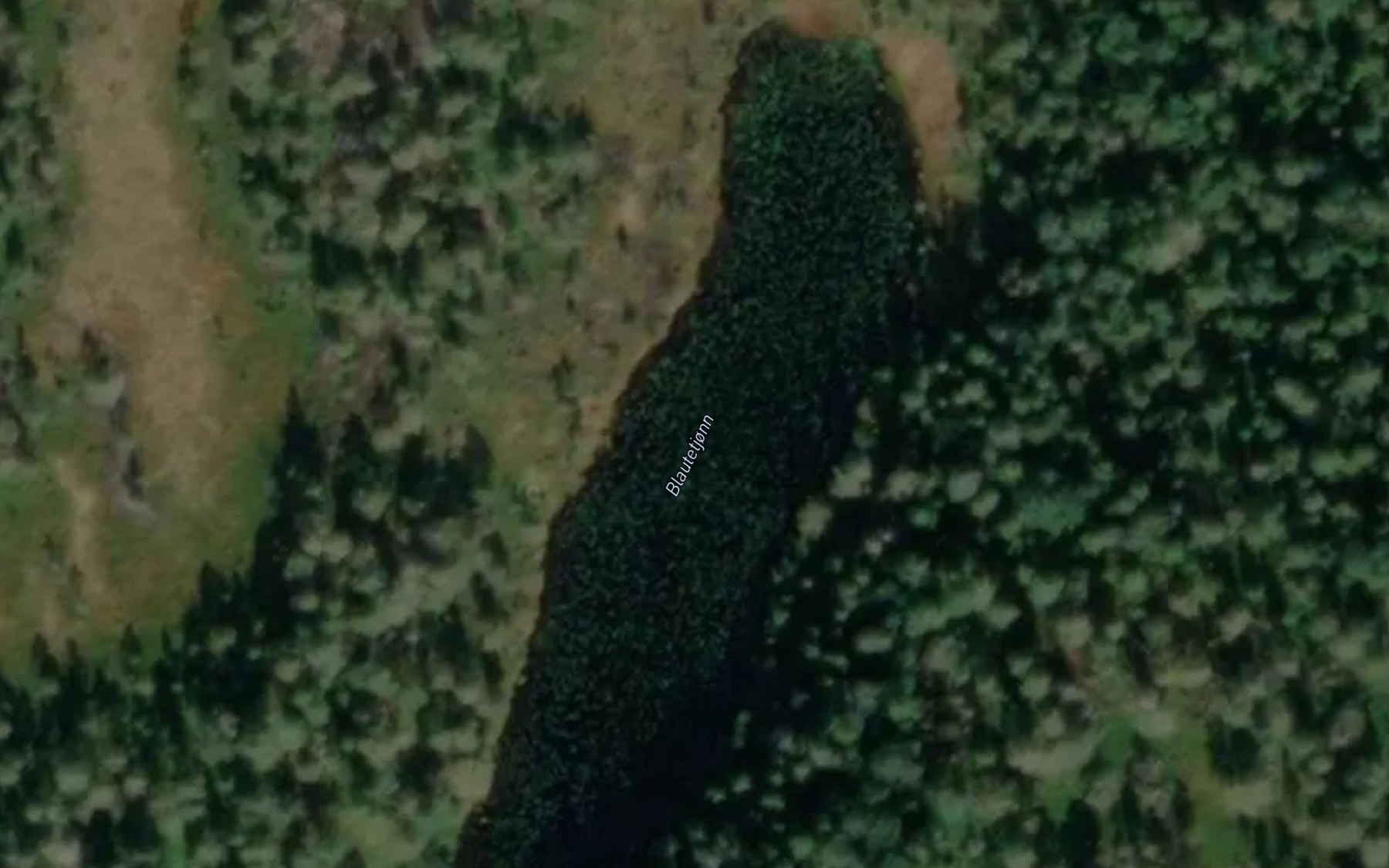Satellite map of the Blautetjonn