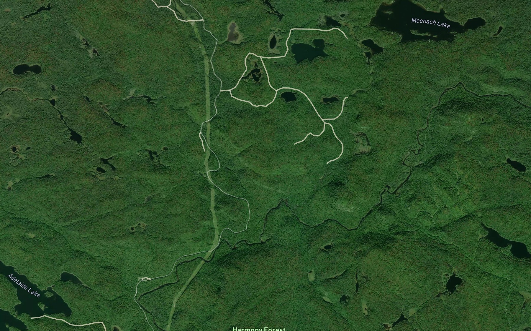 Satellite map of the Quintet Creek