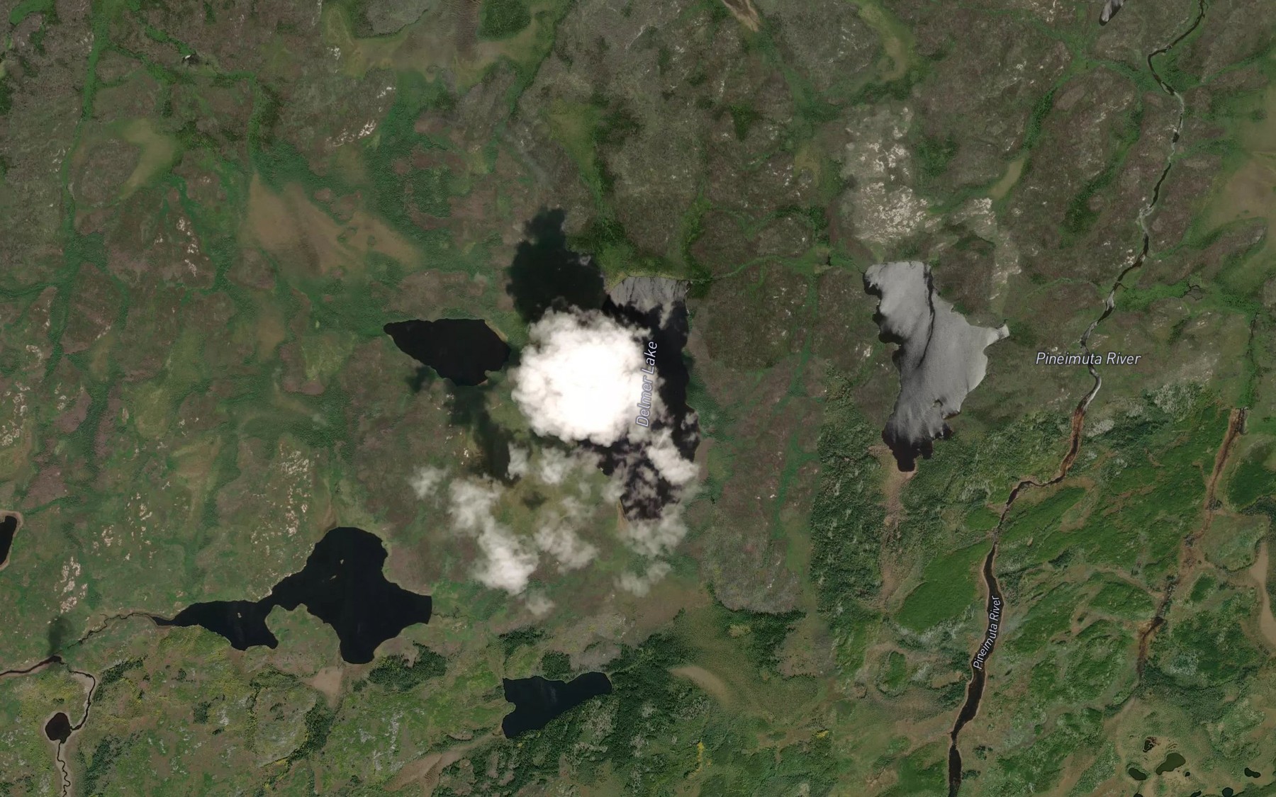 Satellite map of the Delmer Lake