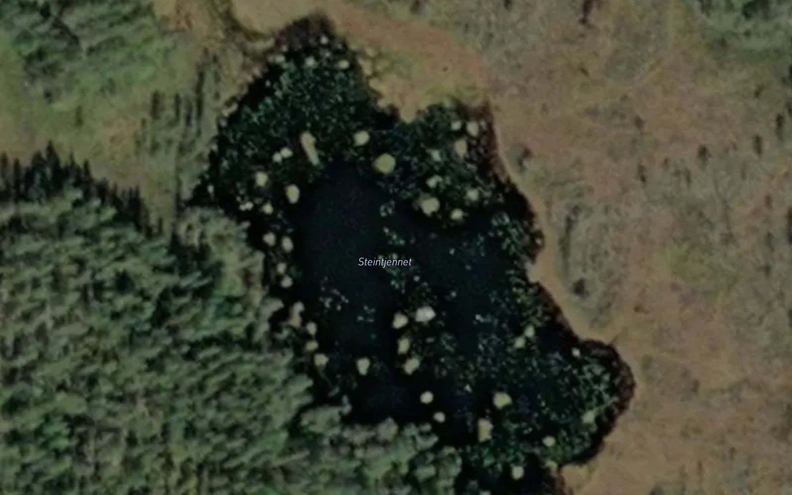 Steintjern