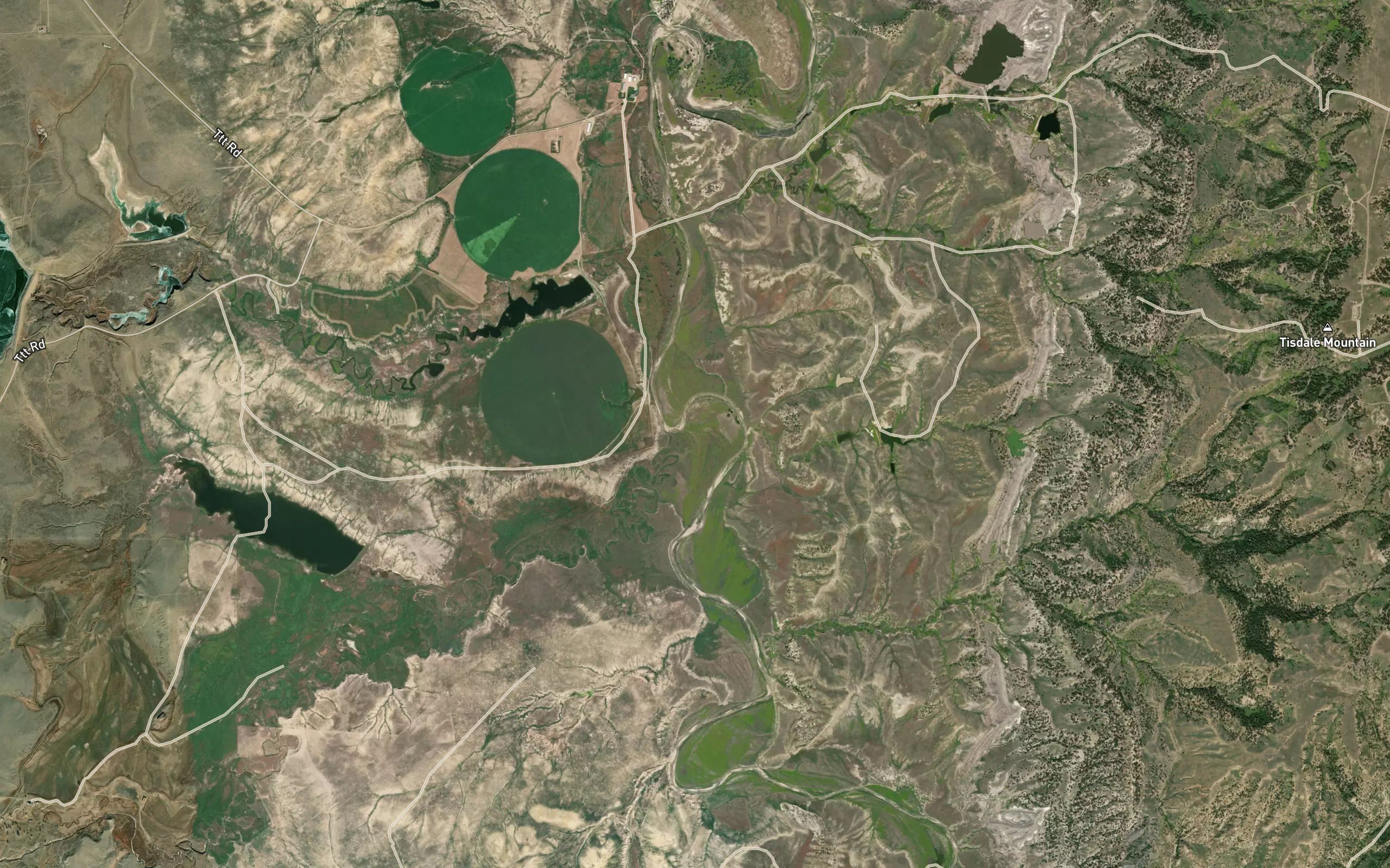 Willow Creek