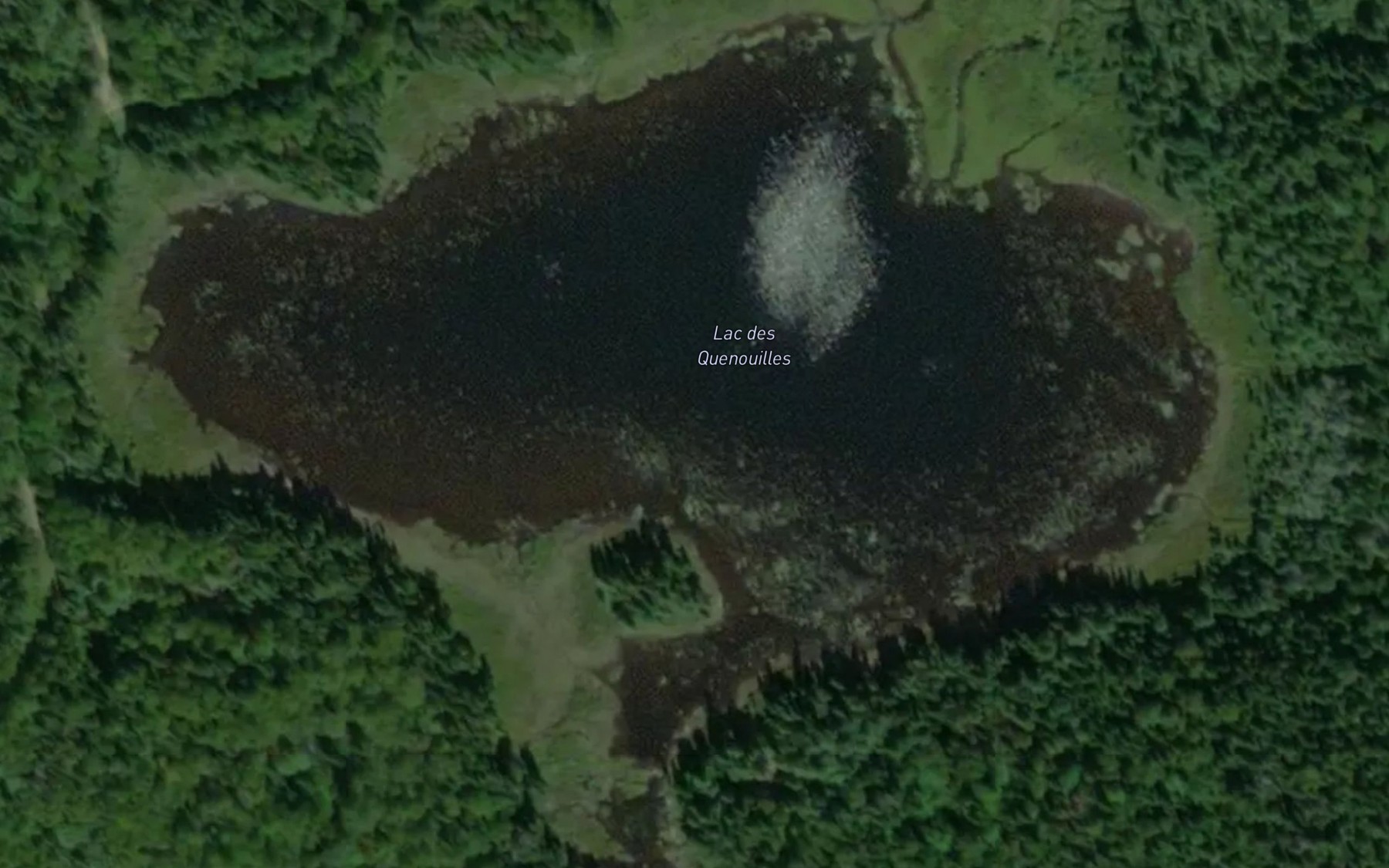 Satellite map of the Lac des Quenouilles