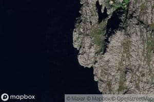 Sauenesvika