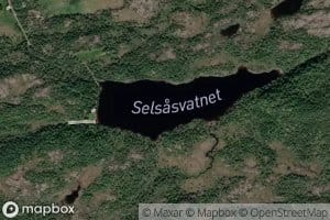 Selsavatnet