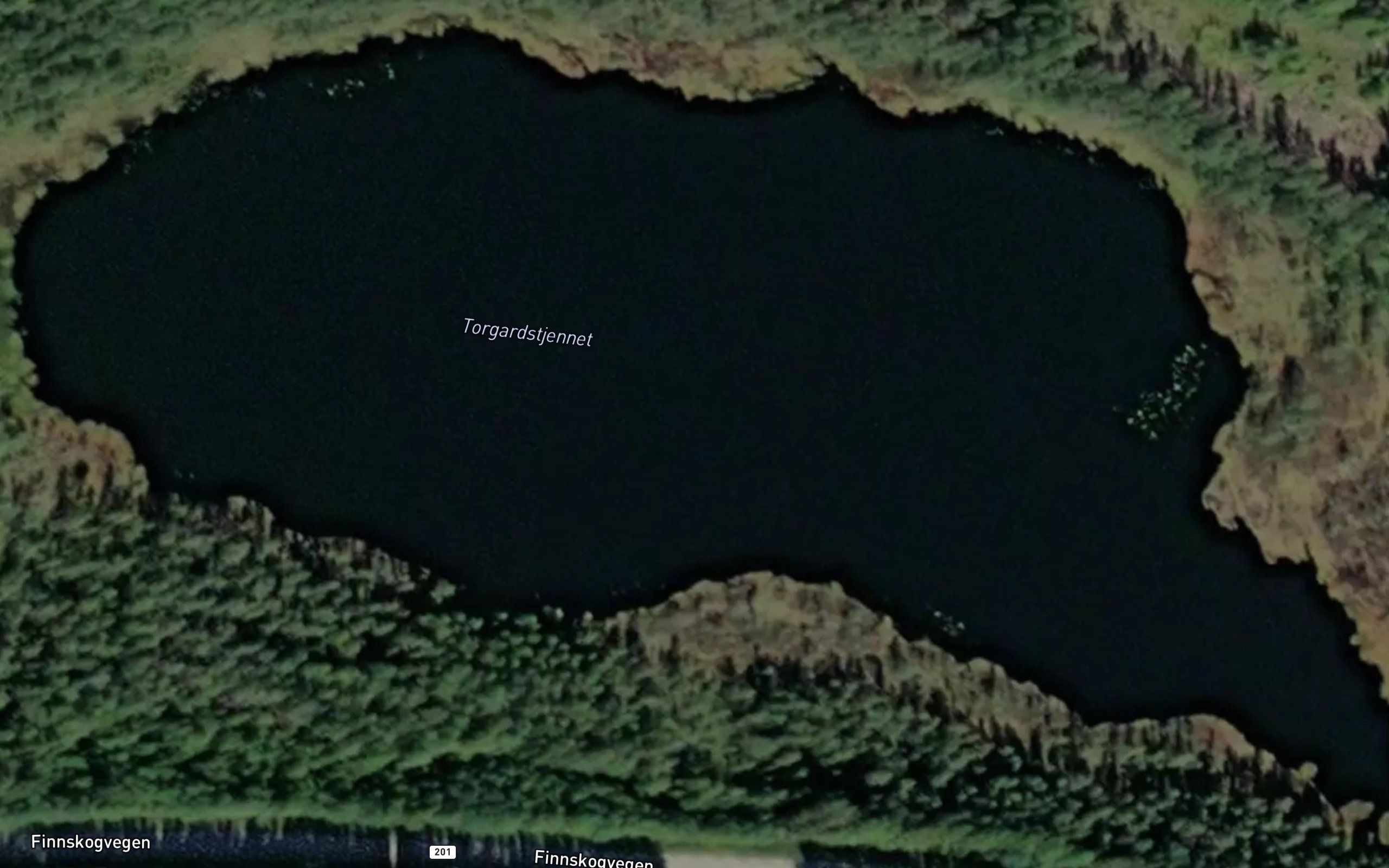 Torgardstjennet