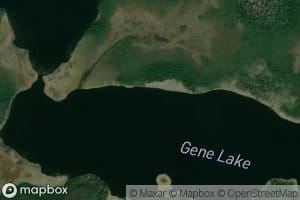 Gene Lake