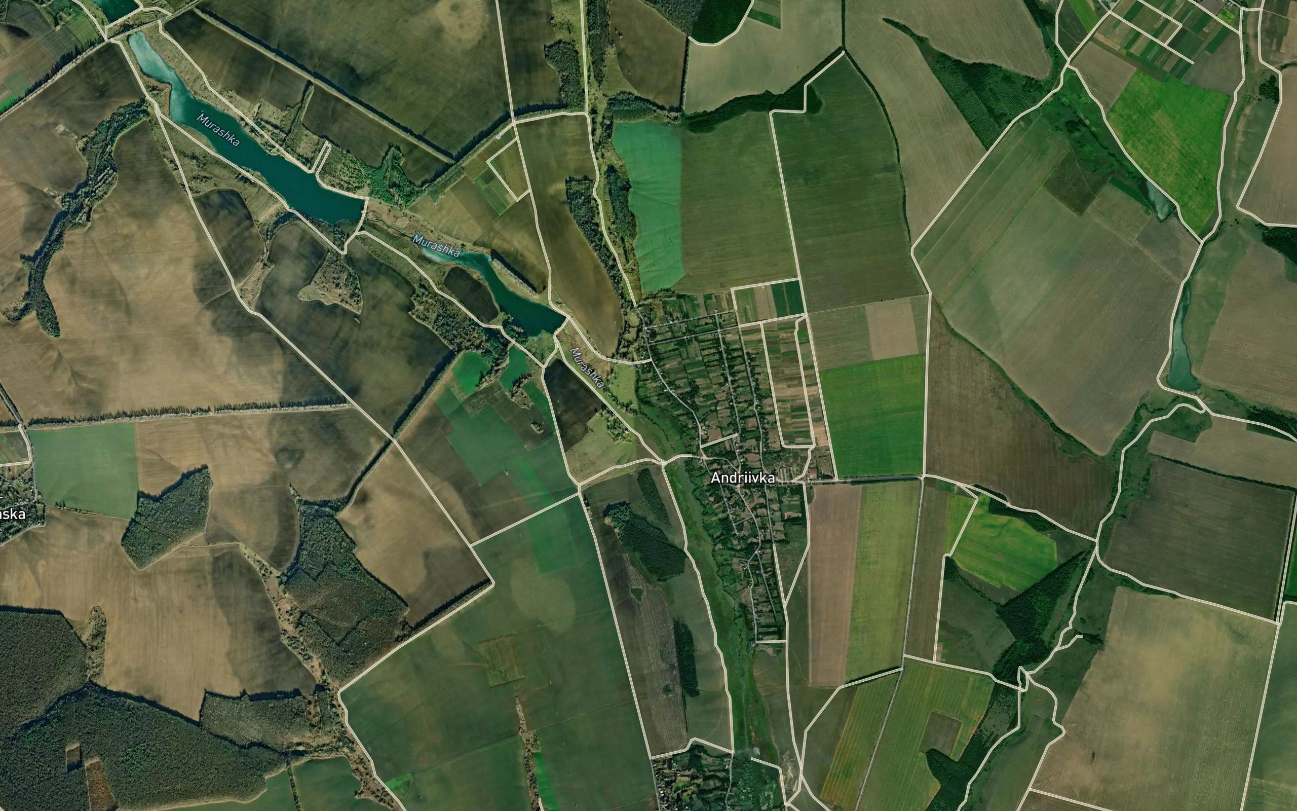 Batizhok