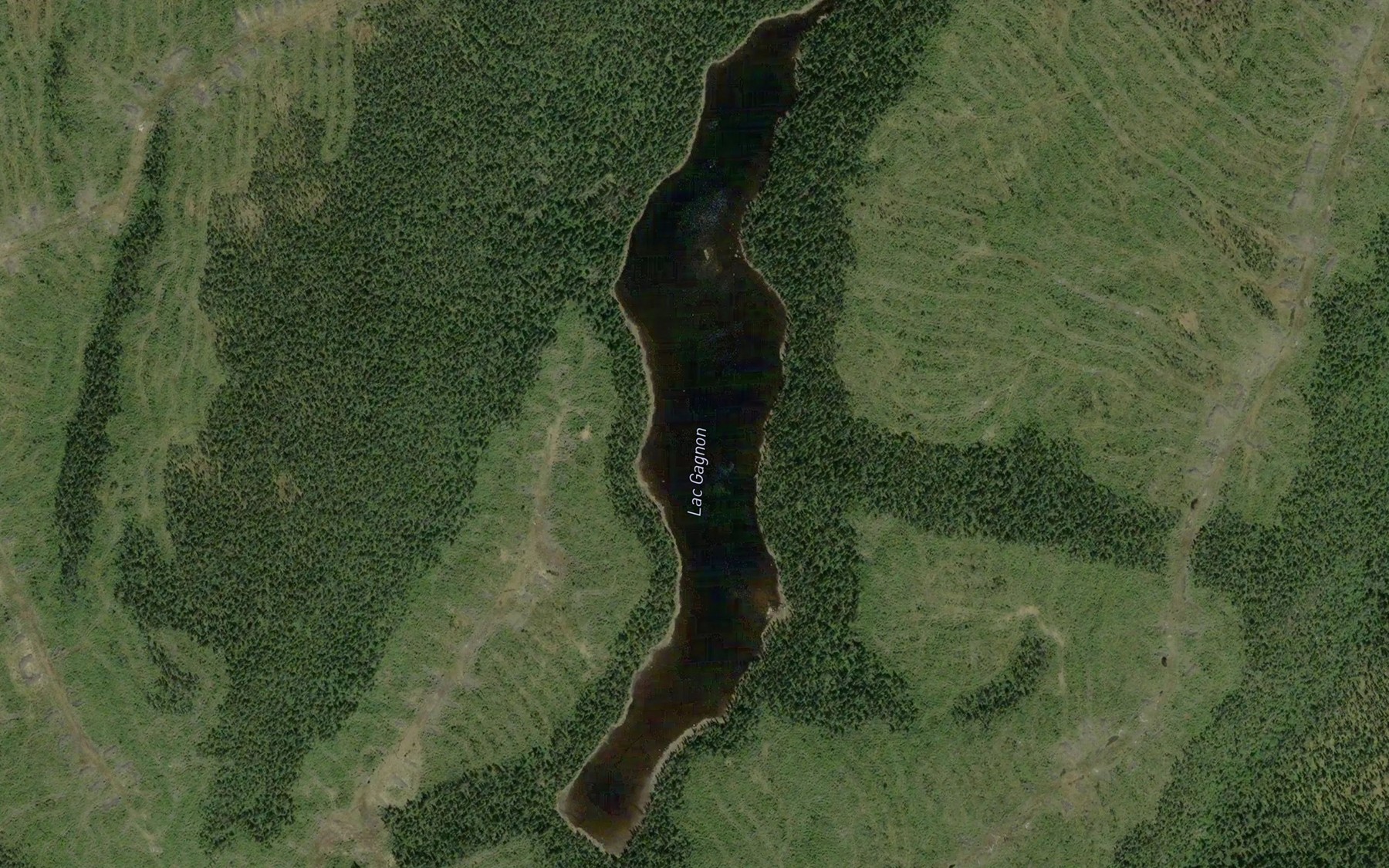 Satellite map of the Lac Gagnon