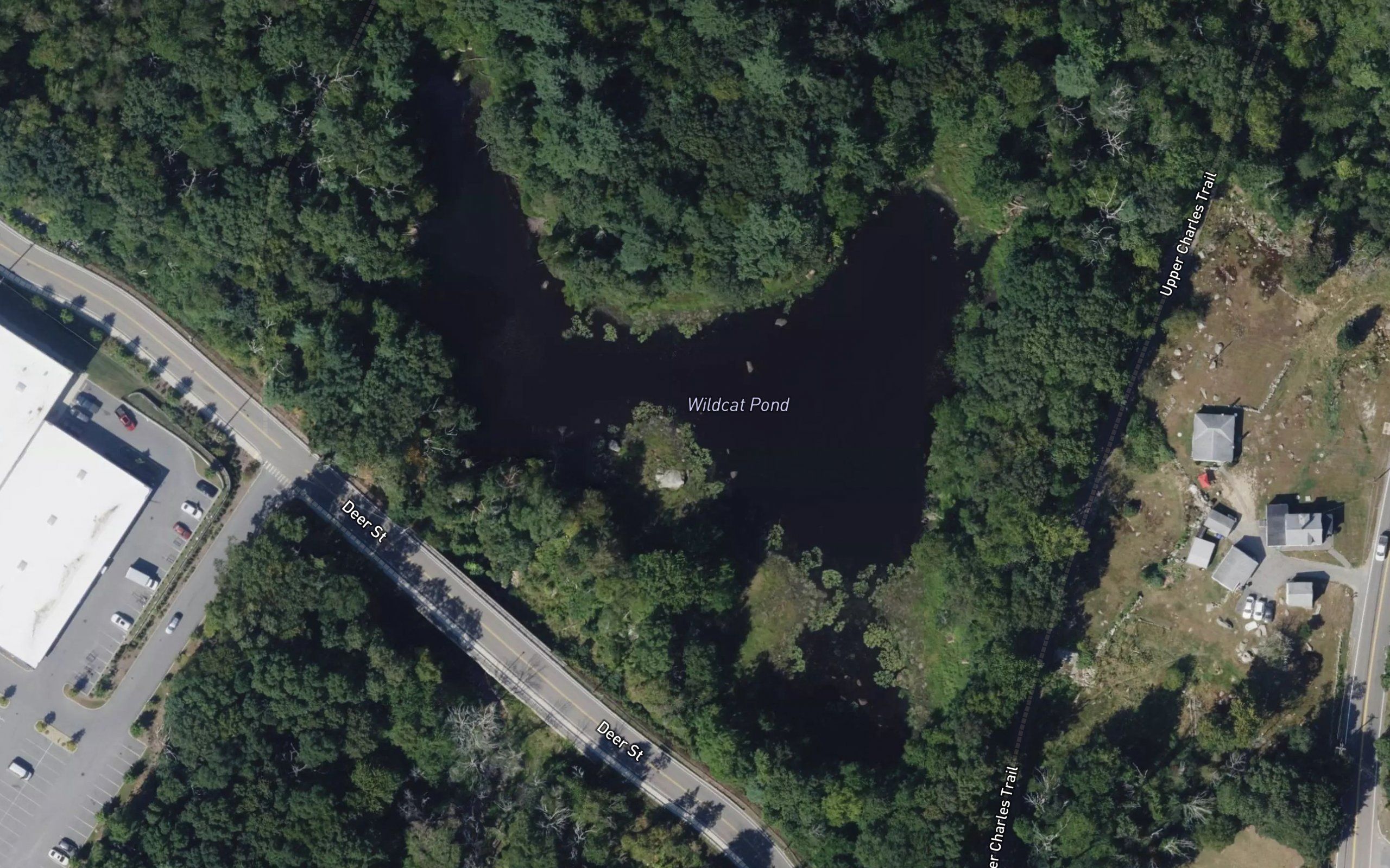 Wildcat Pond