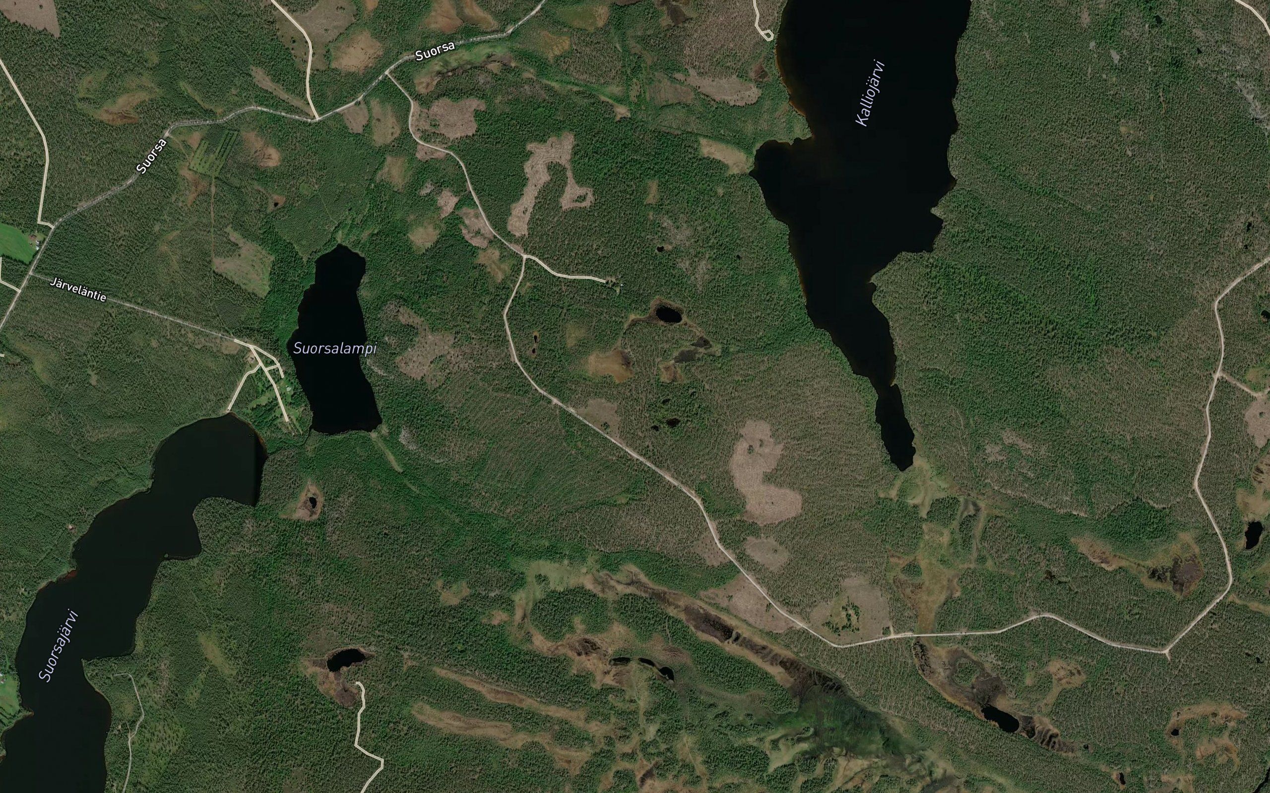 Kalliojarvi