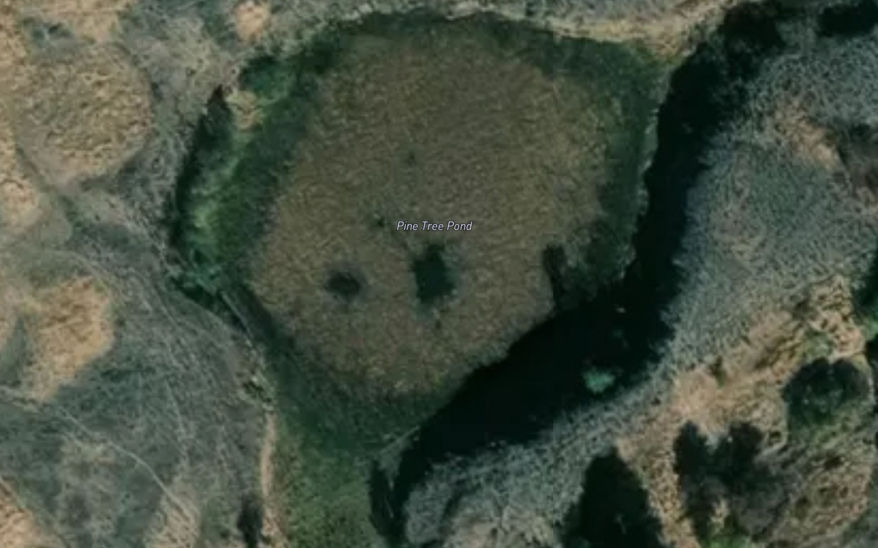 Satellite map of the Pine Tree Pond