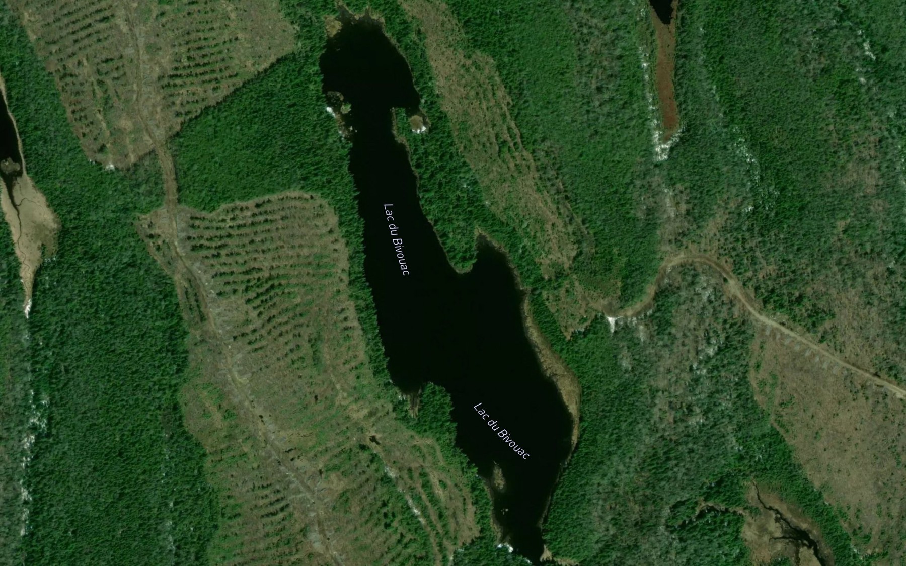 Satellite map of the Lac du Bivouac