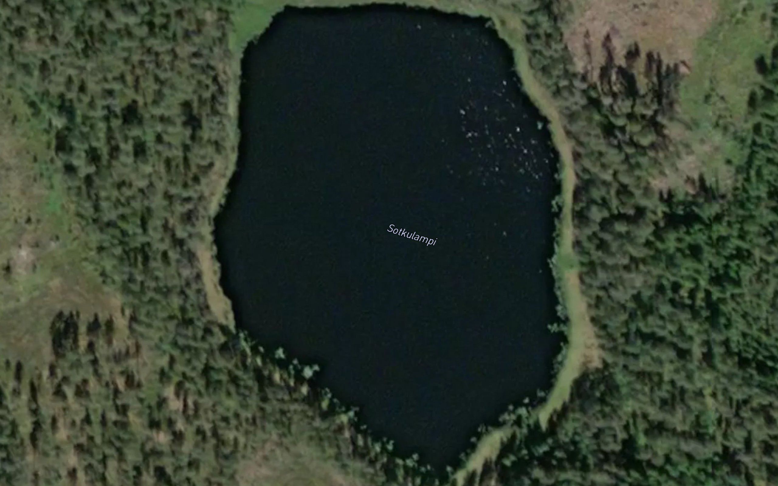 Sotkulampi