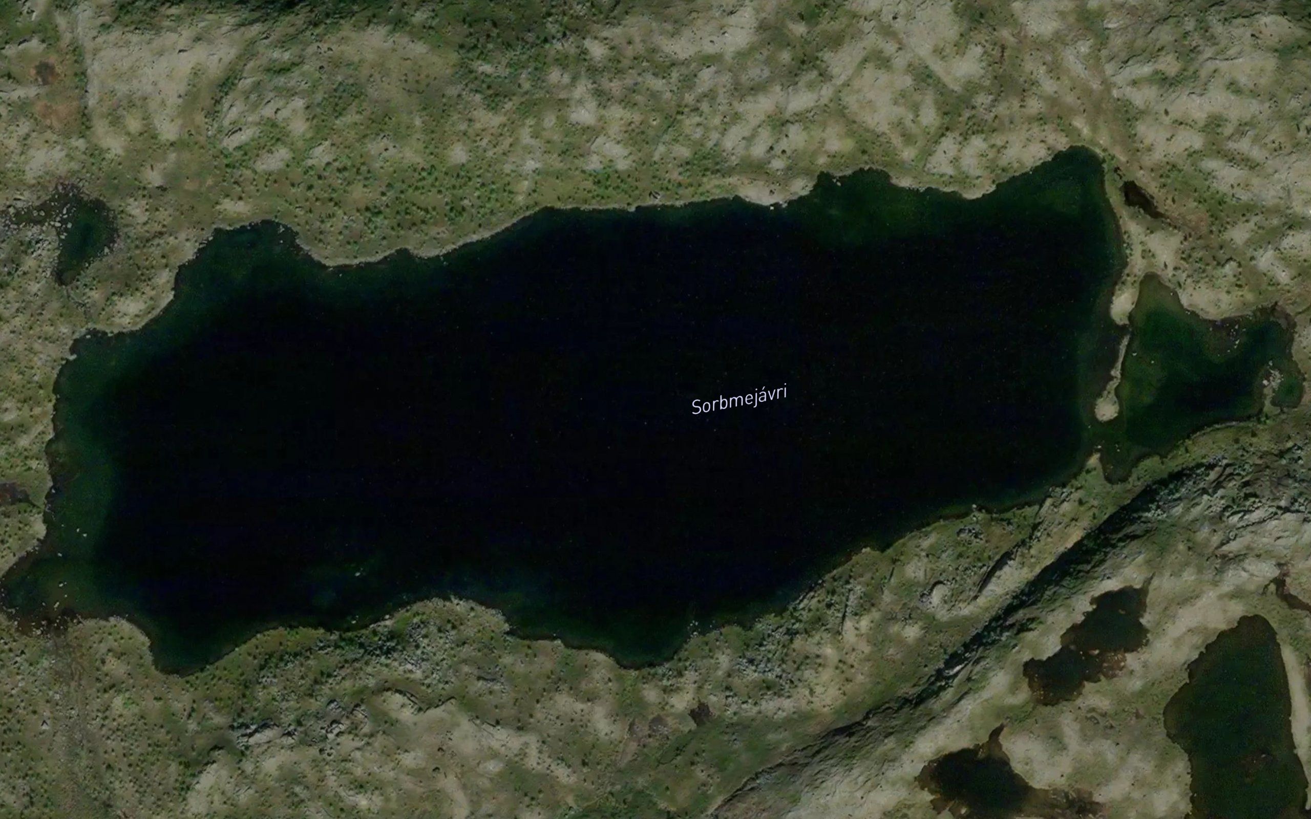 Sarbmejavri