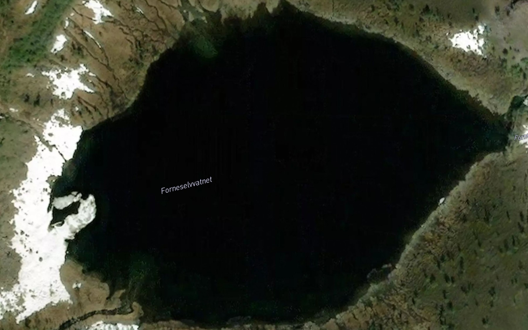 Satellite map of the Forneselvvatnet