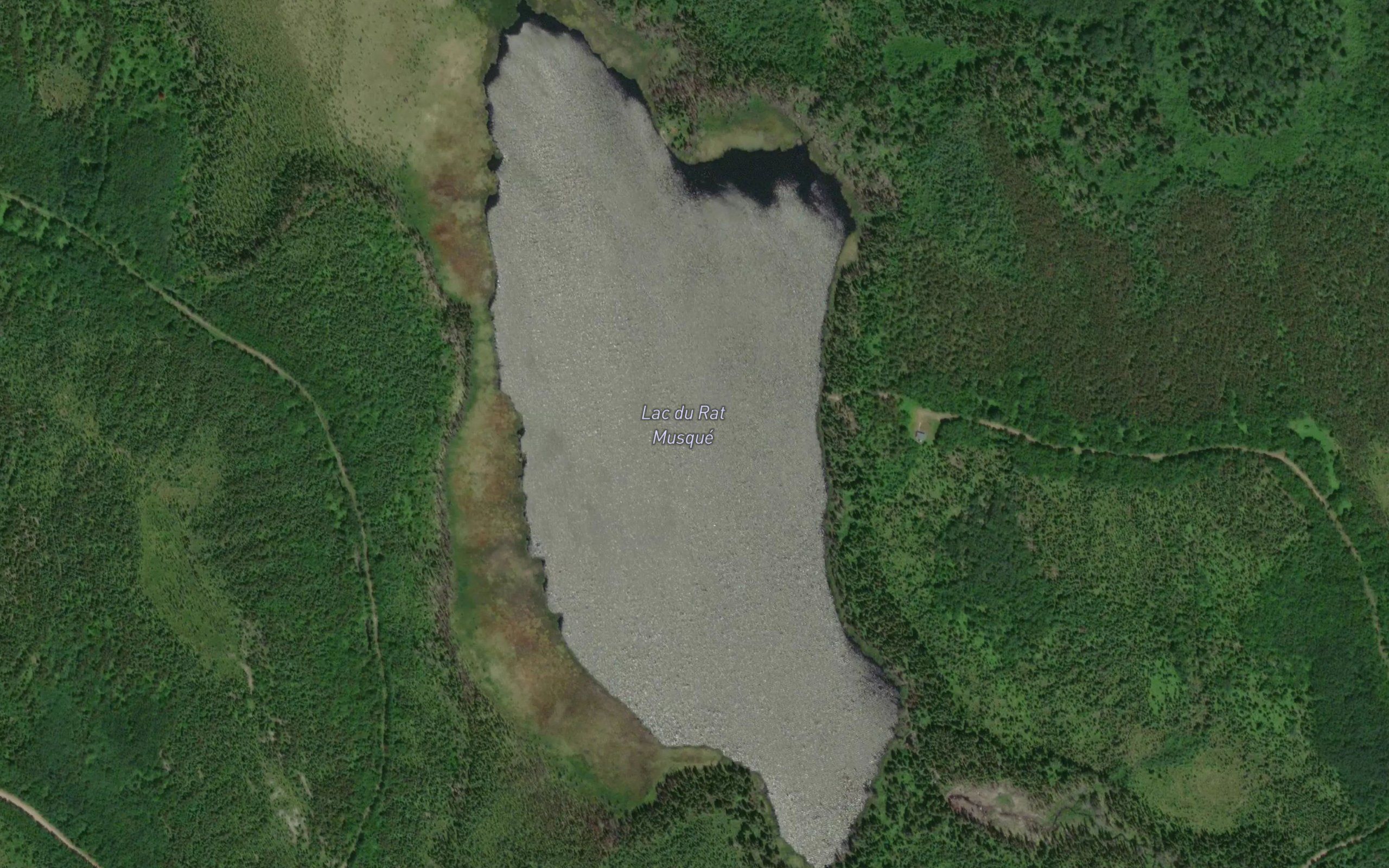 Lac du Rat Musque