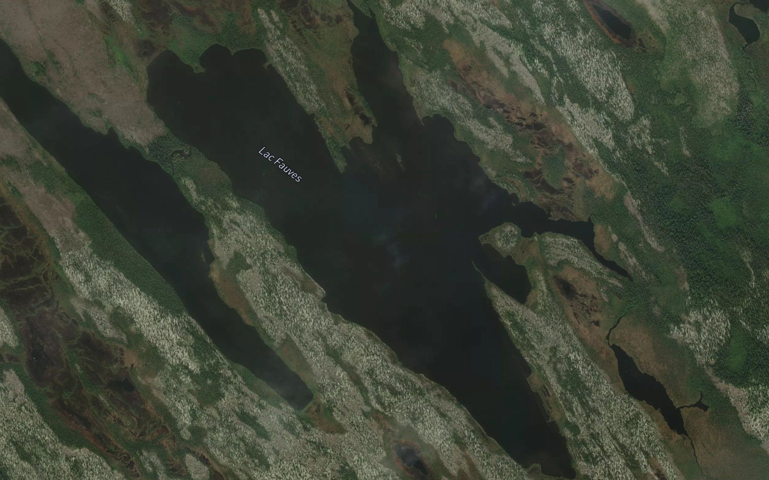 Lac Fauves