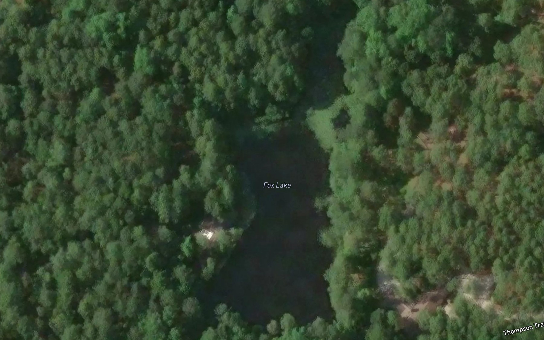Satellite map of the Fox Lake