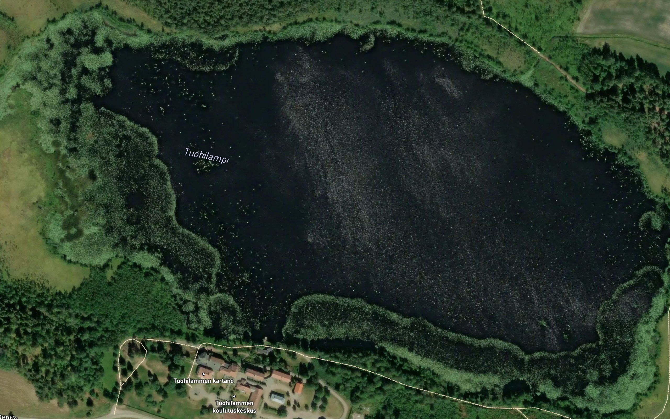 Tuohilampi