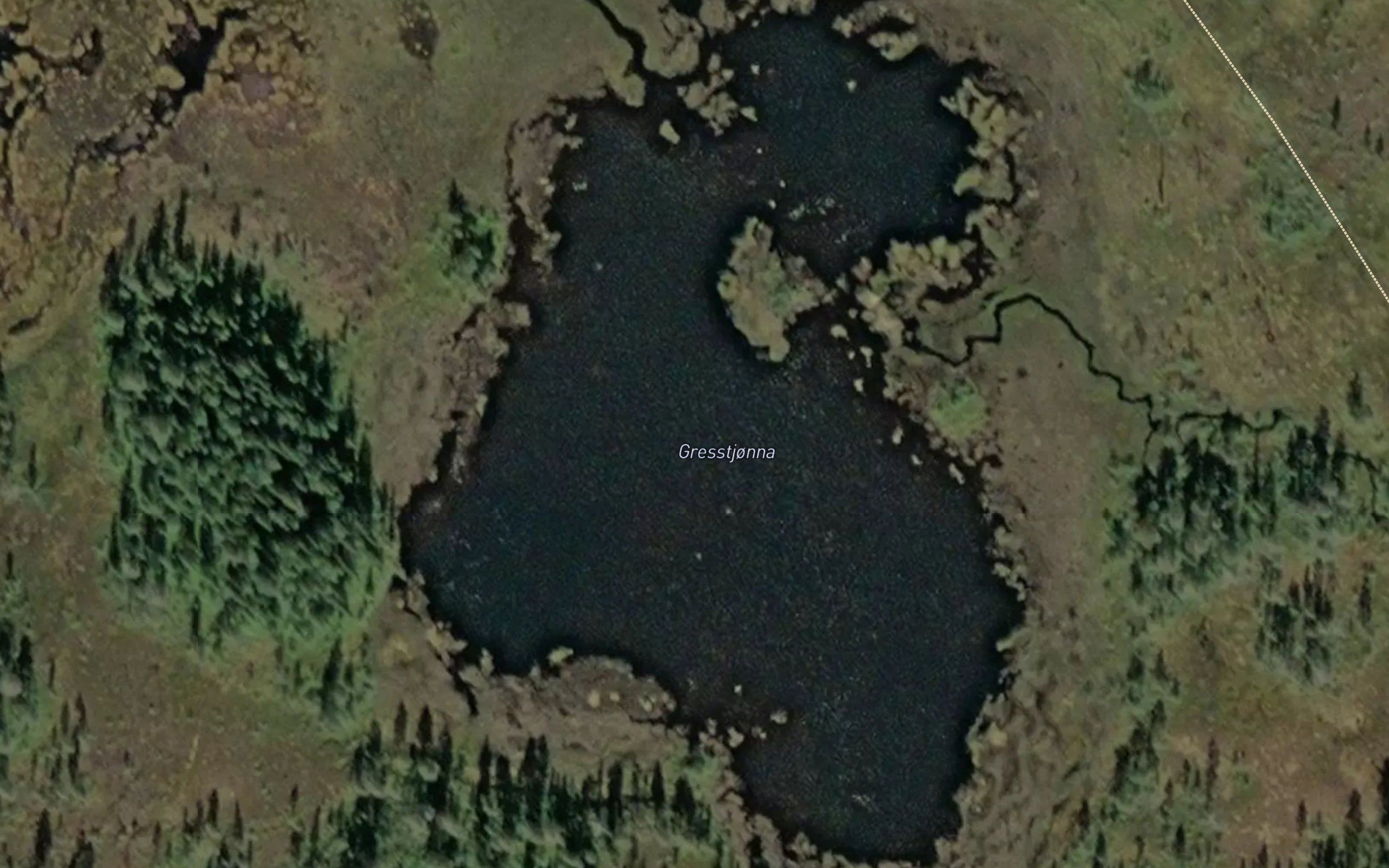Grastjorna