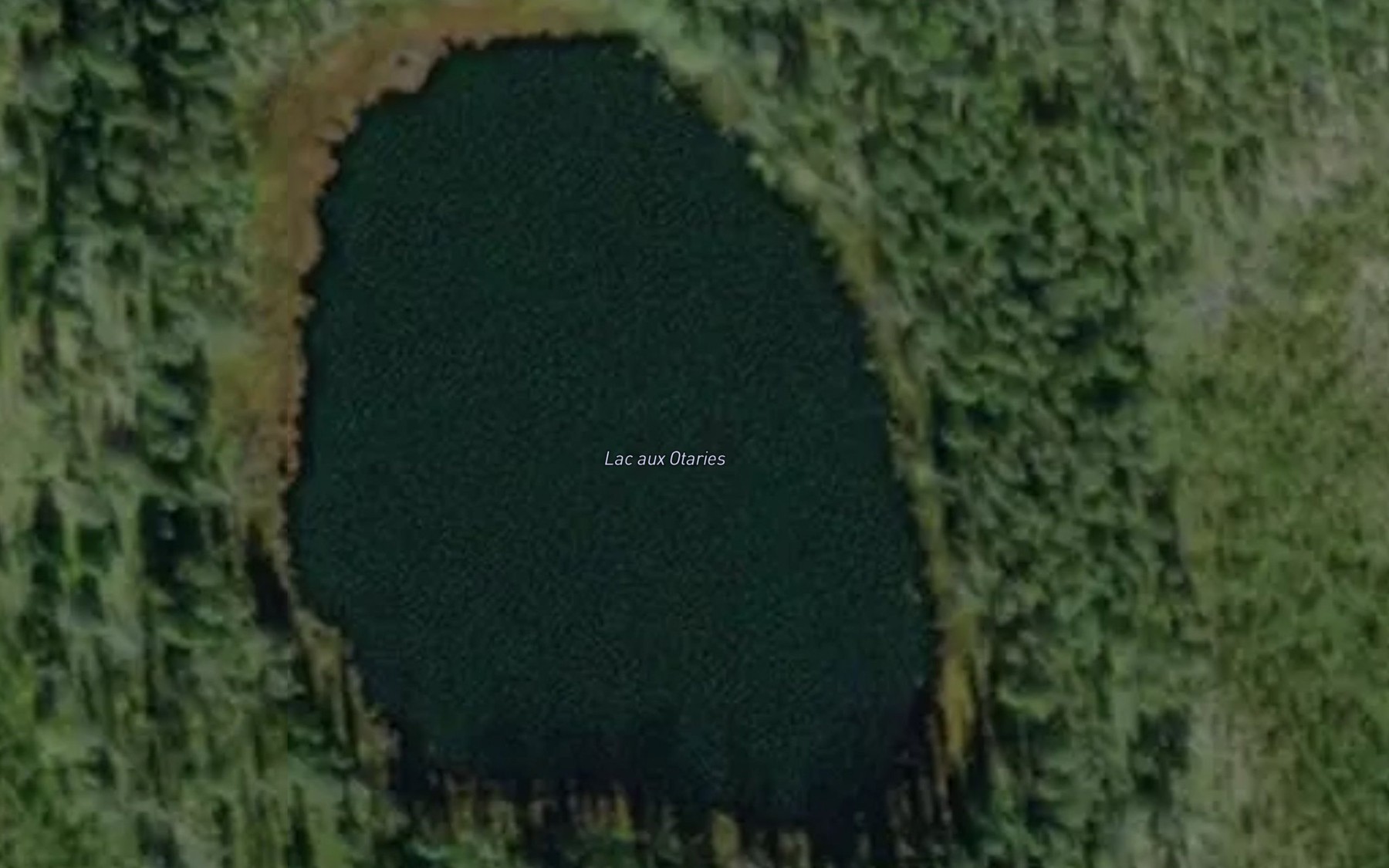 Satellite map of the Lac aux Otaries