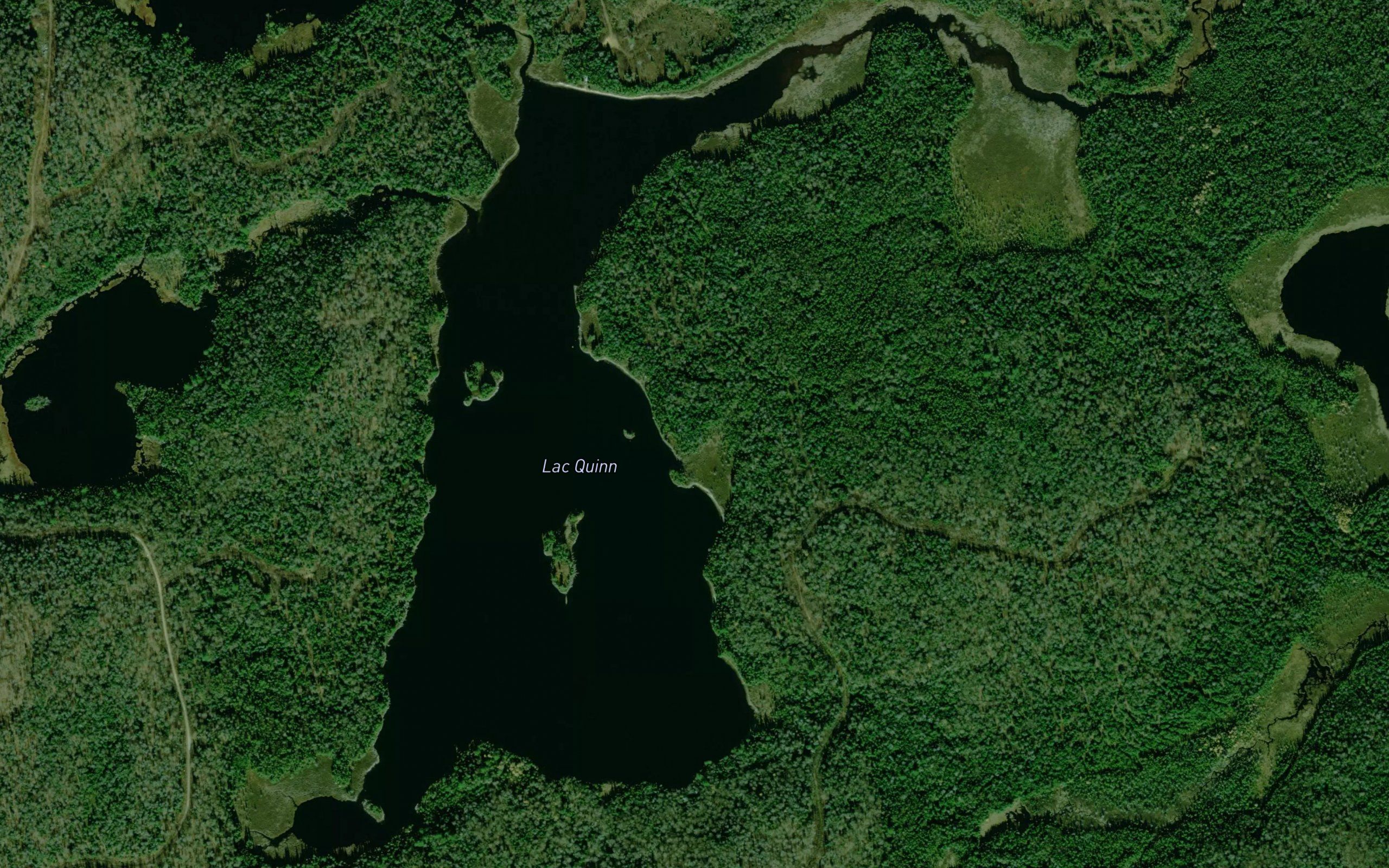 Lac Quinn