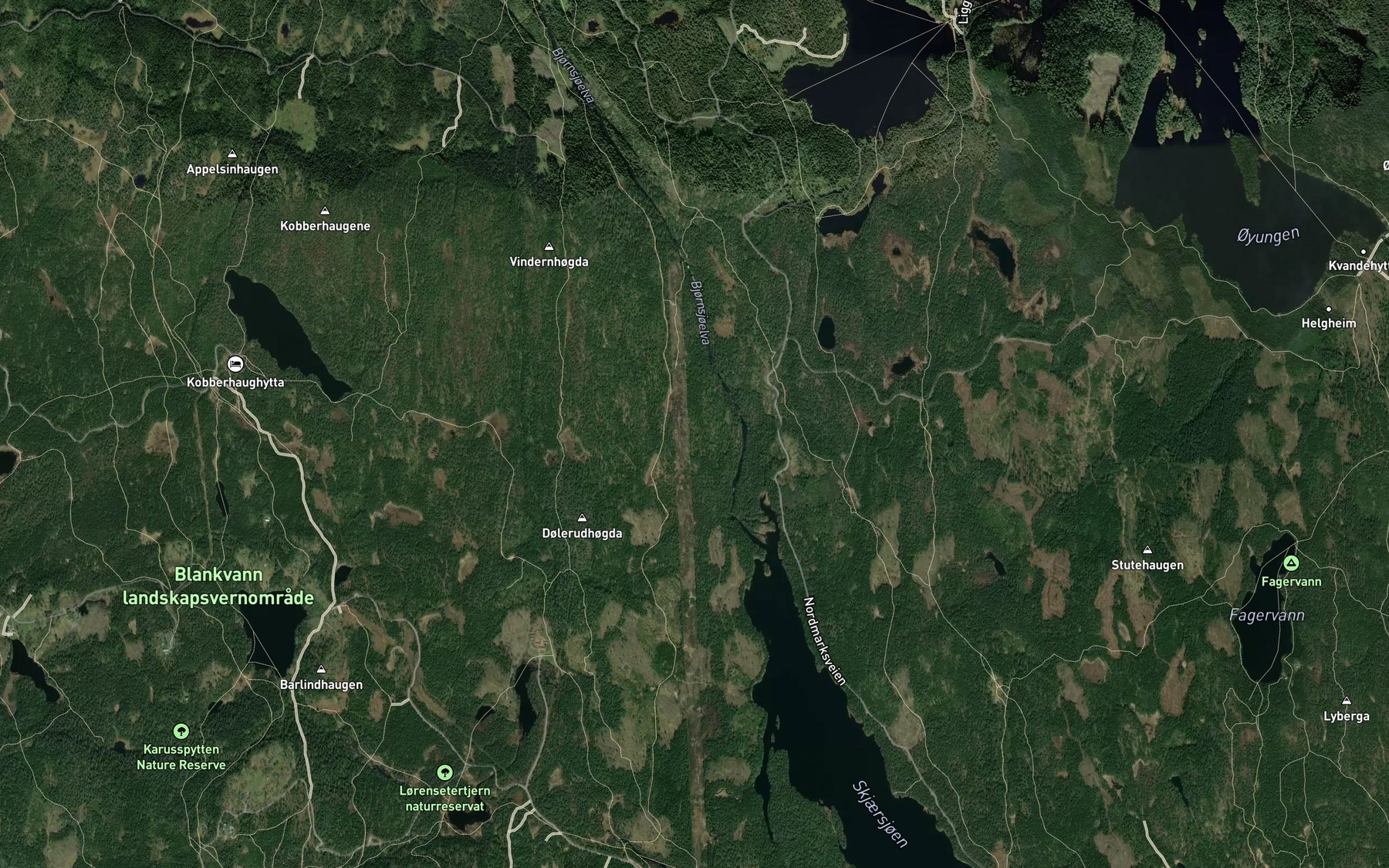 Satellite map of the Bjornsjoelva
