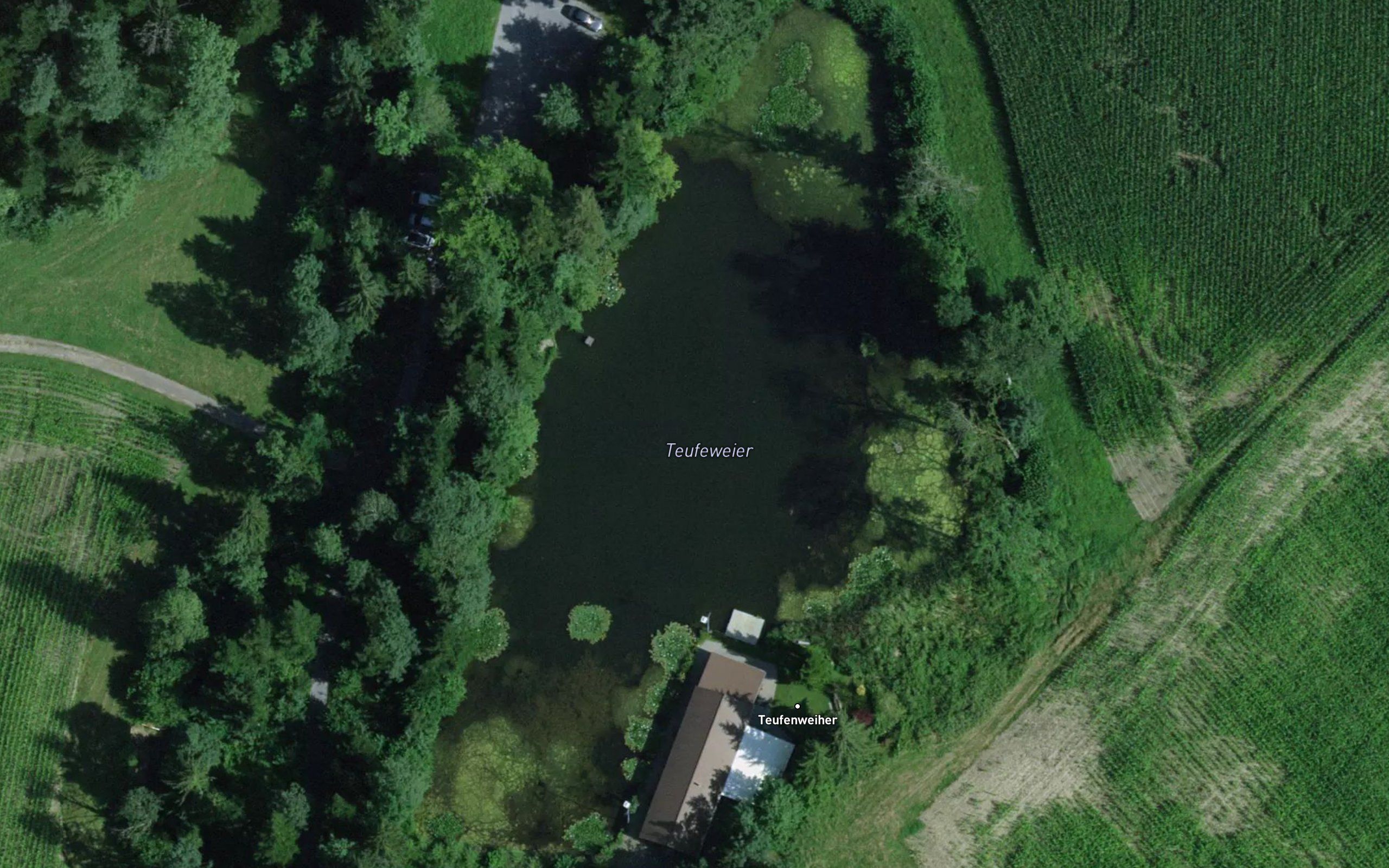 Tueffeweier