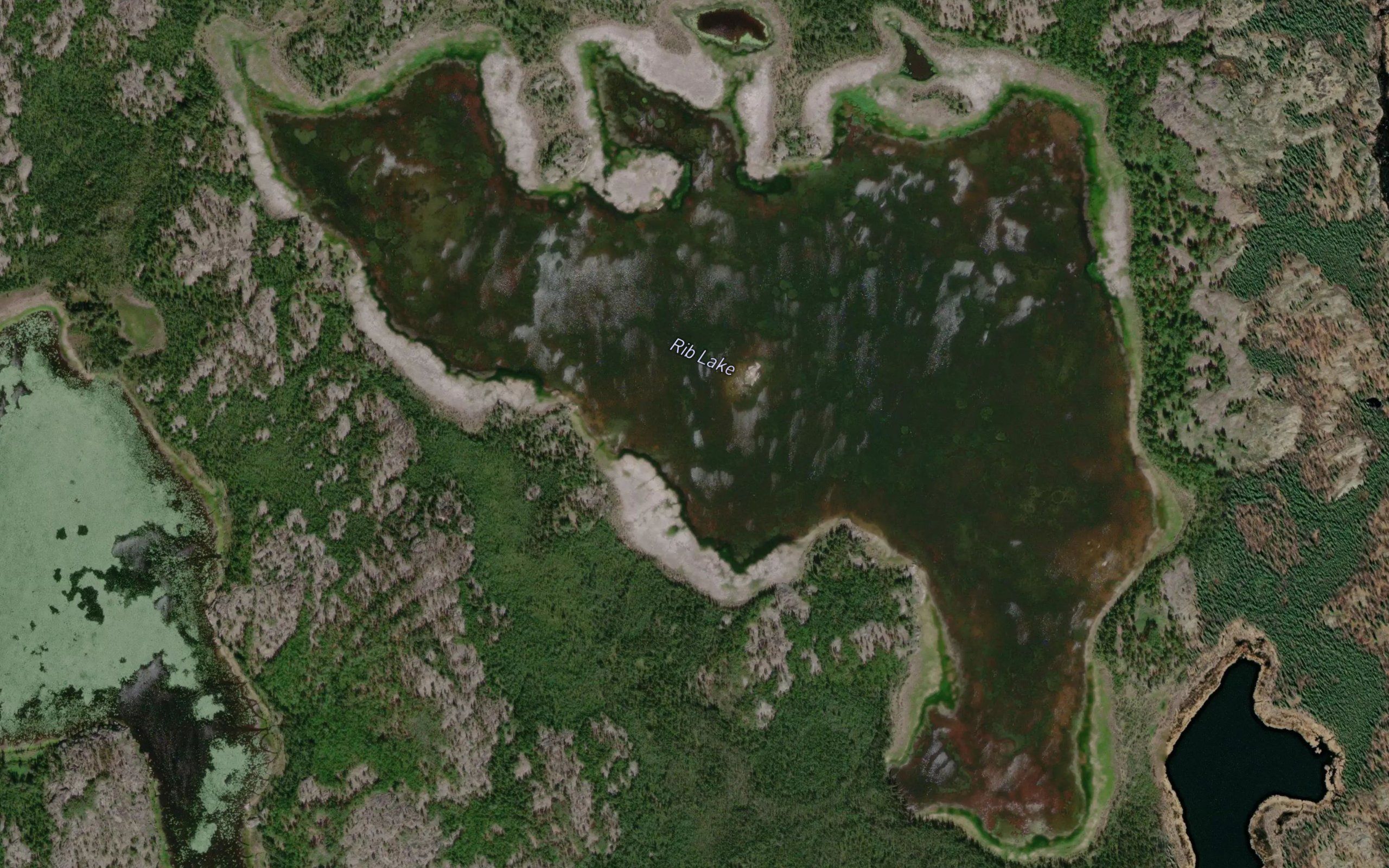 Rib Lake