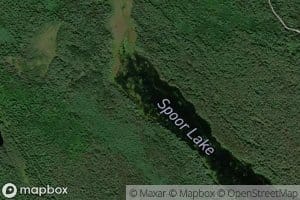 Spoor Creek