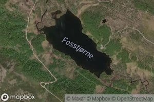 Fosstjodn