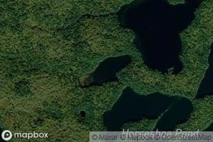 Little Polliwog Pond