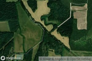 Hominy Branch