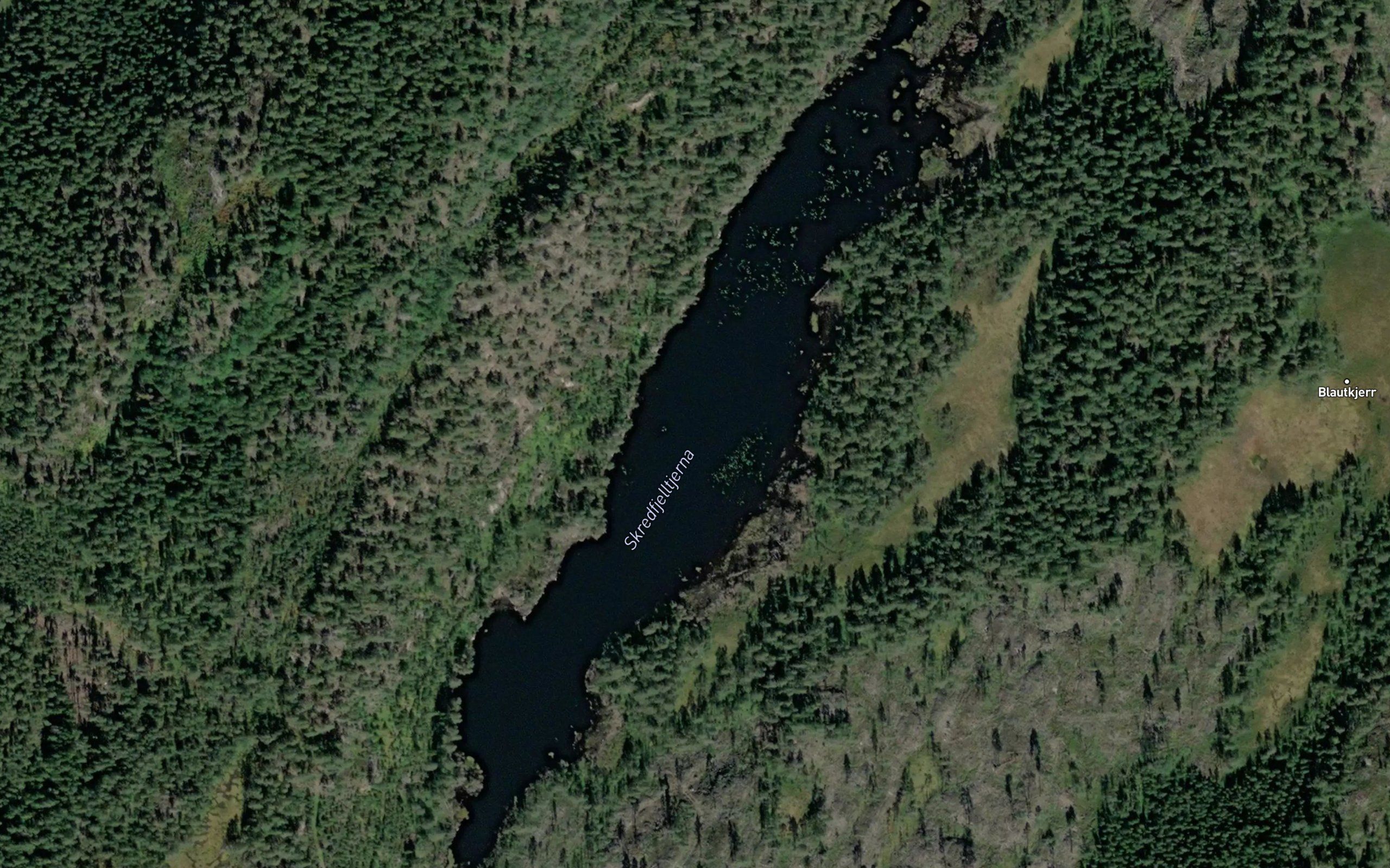 Skrefjelltjenn