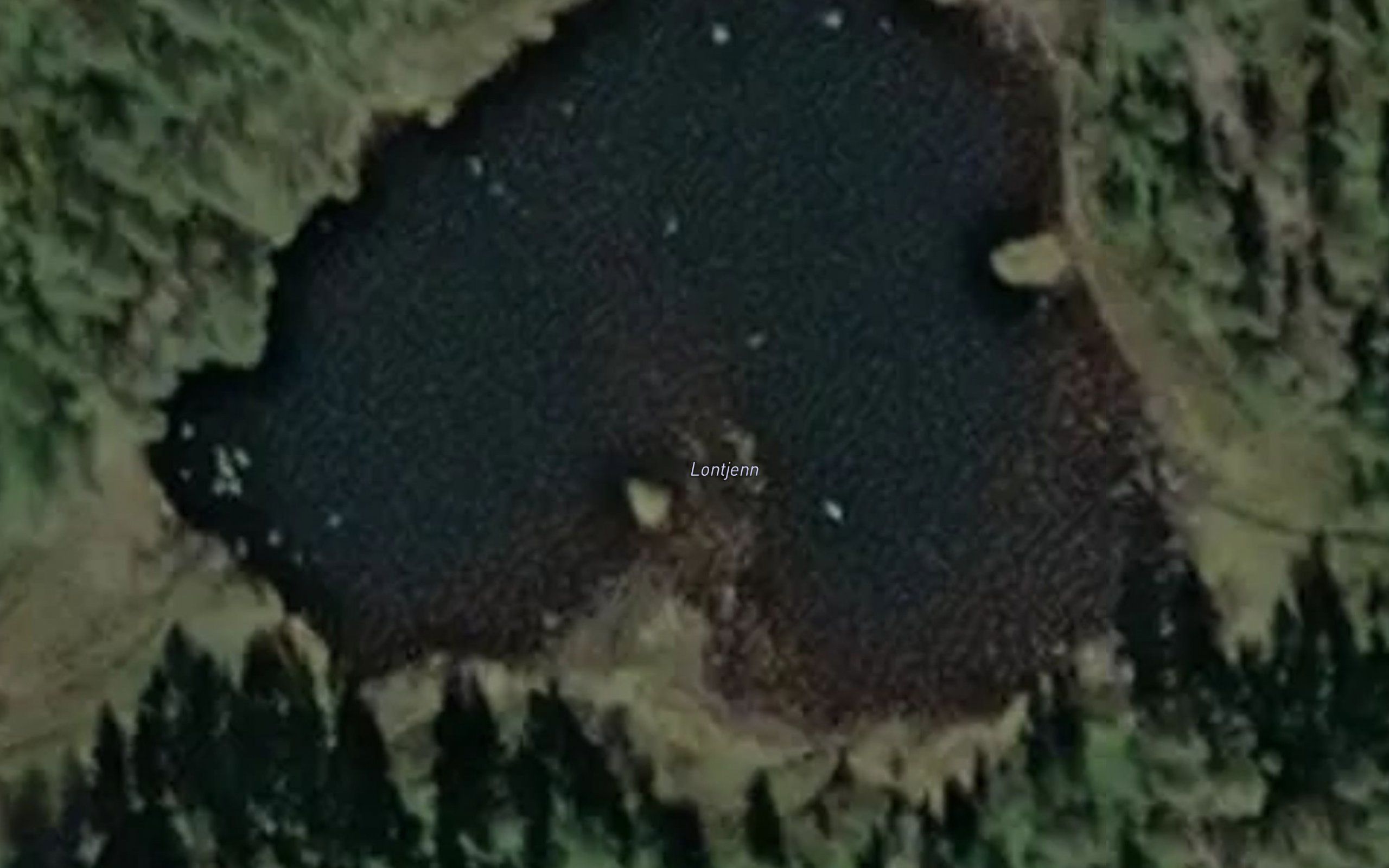 Lontjern