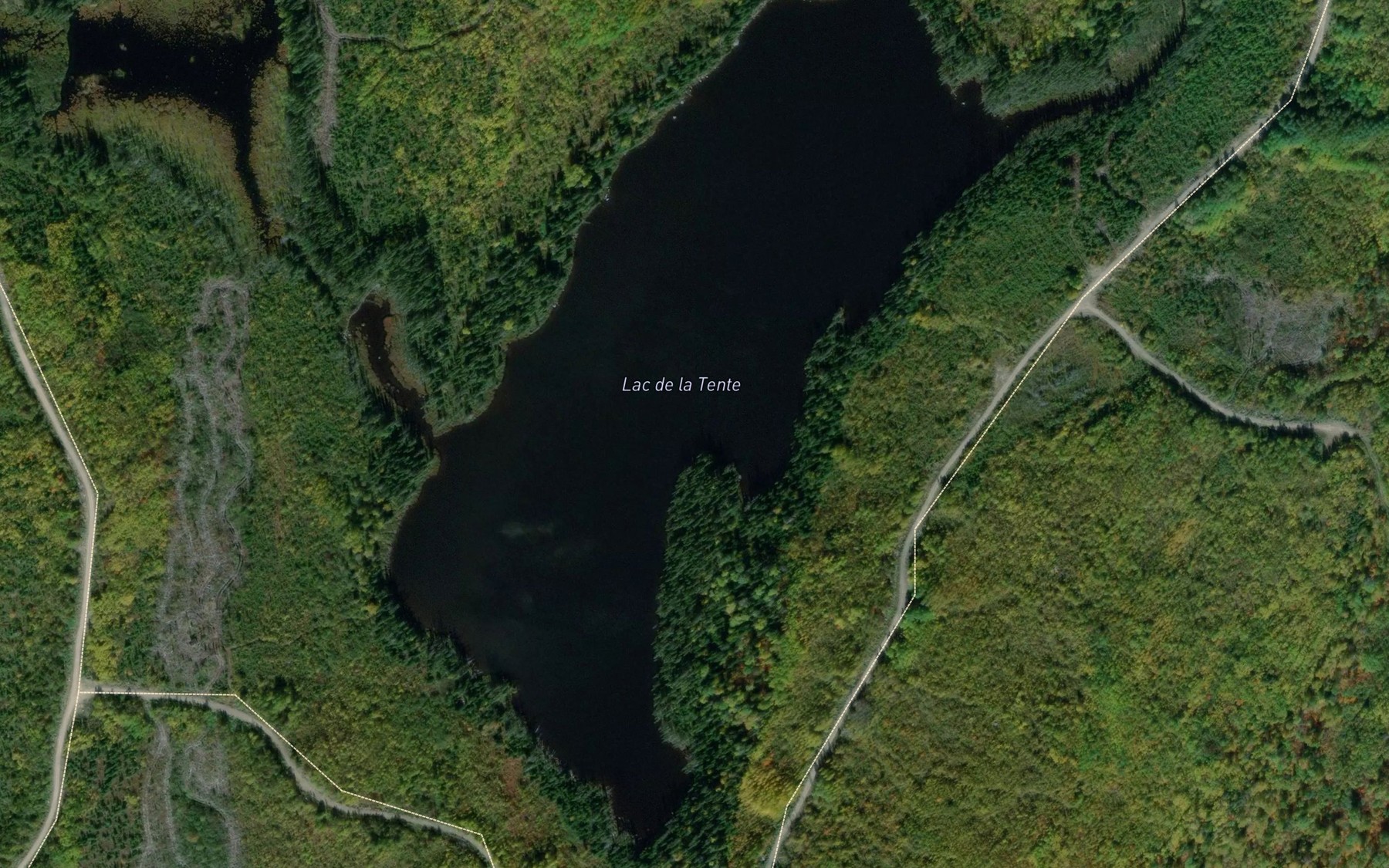 Satellite map of the Lac Goyette
