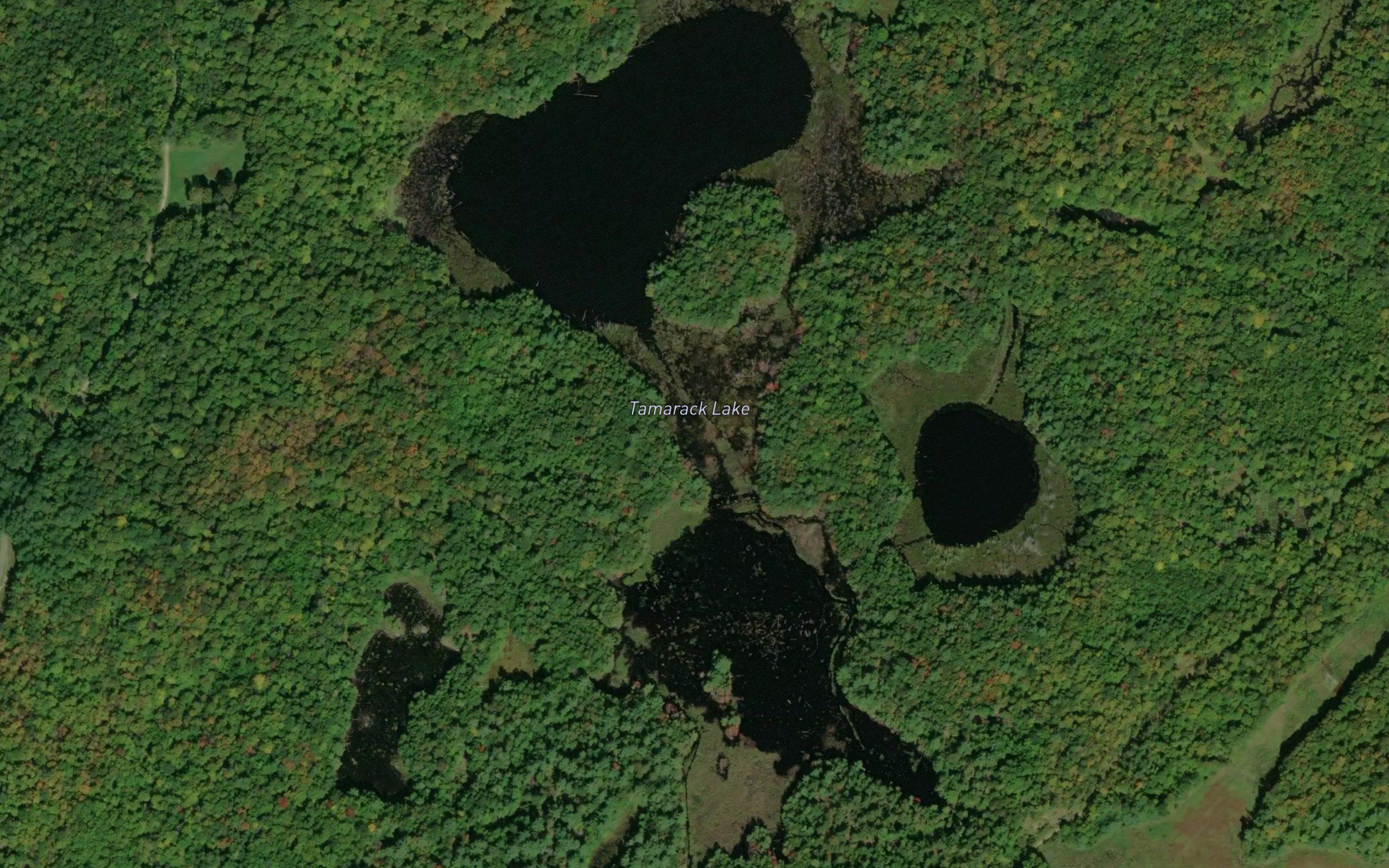 Tamarack Lake