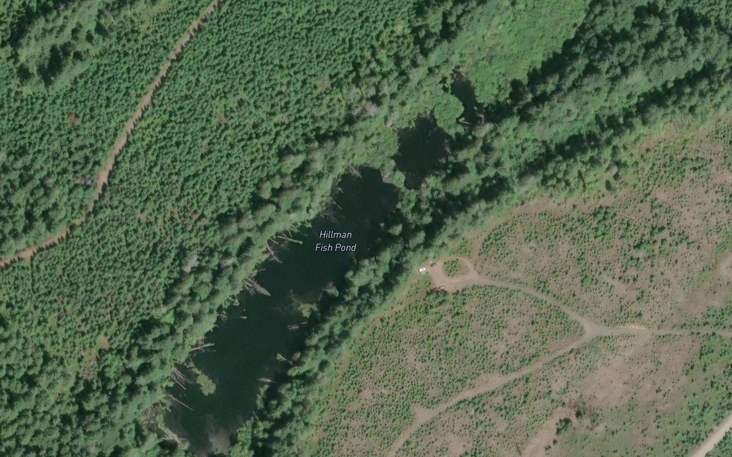 Hillman Fish Pond