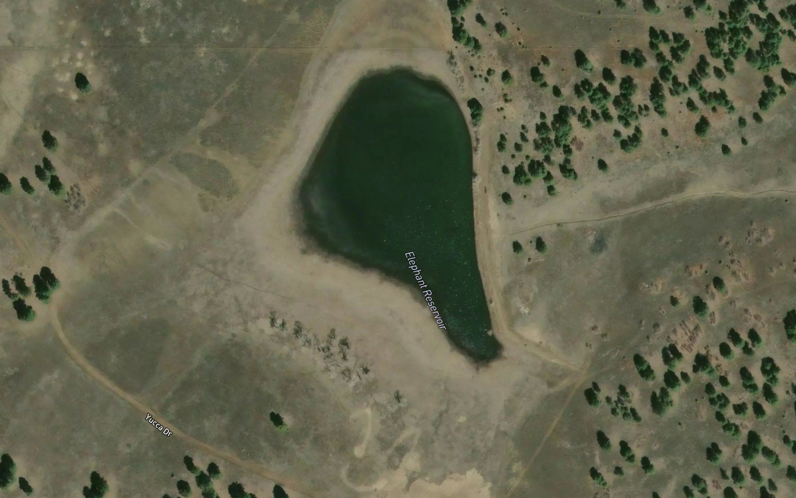 Elephant Reservoir