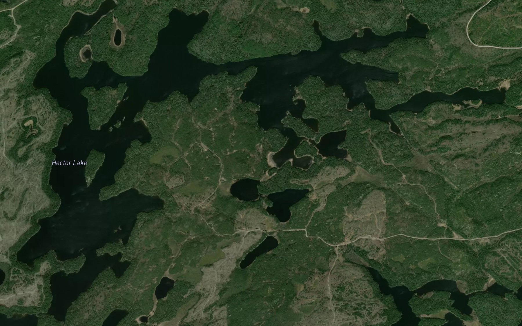 Satellite map of the Hector Lake