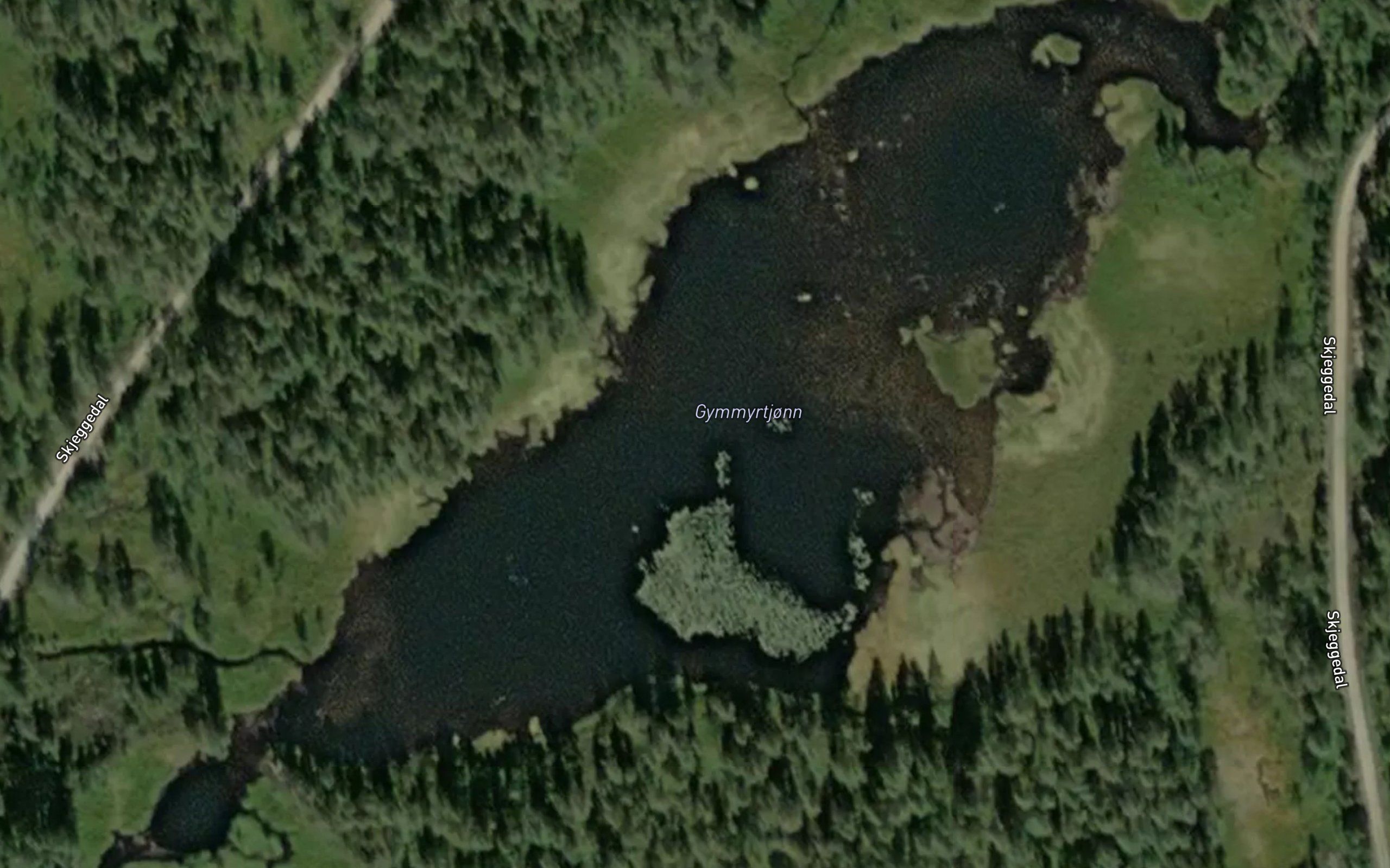 Gymmertjorn