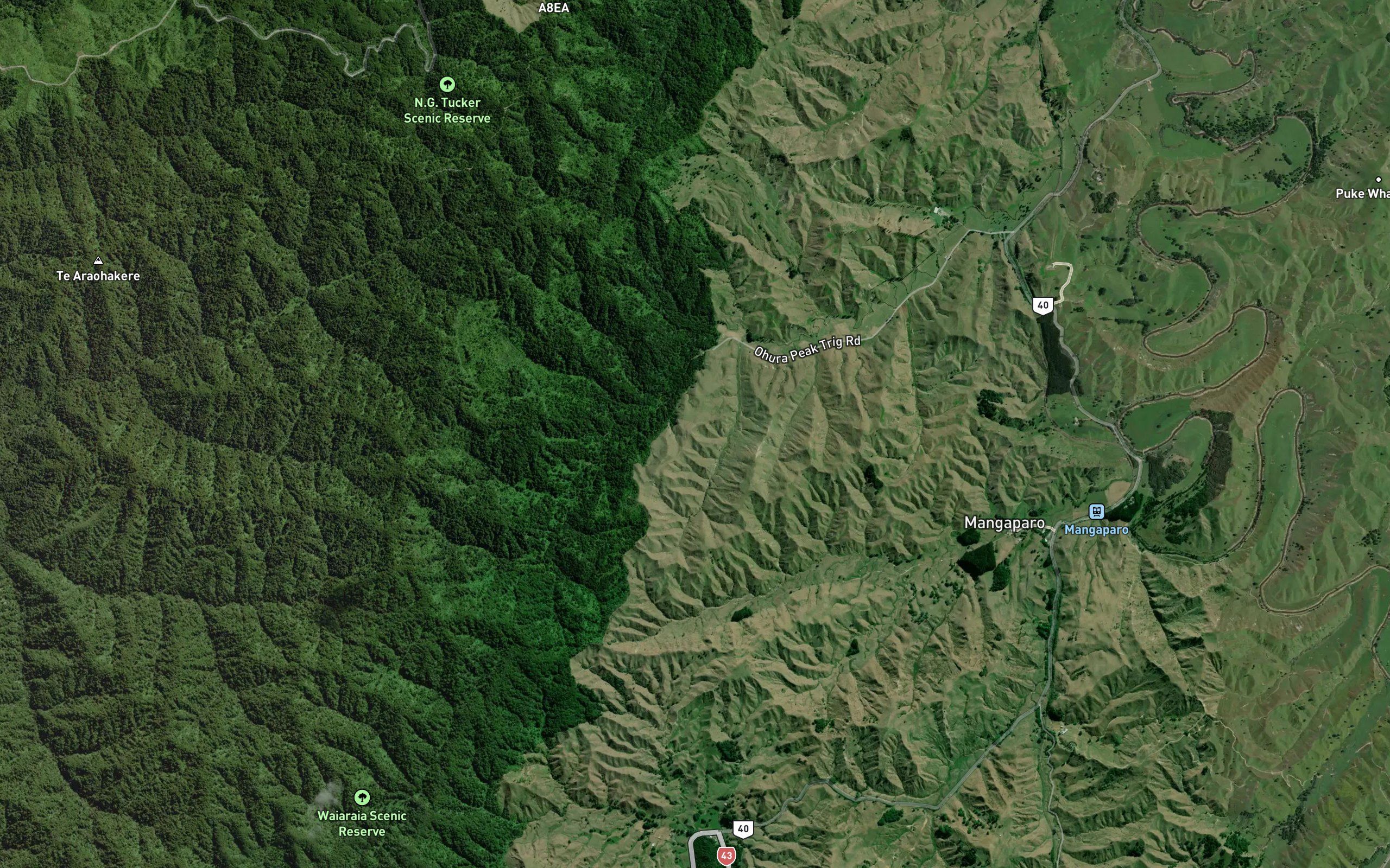 Mahorahora Stream