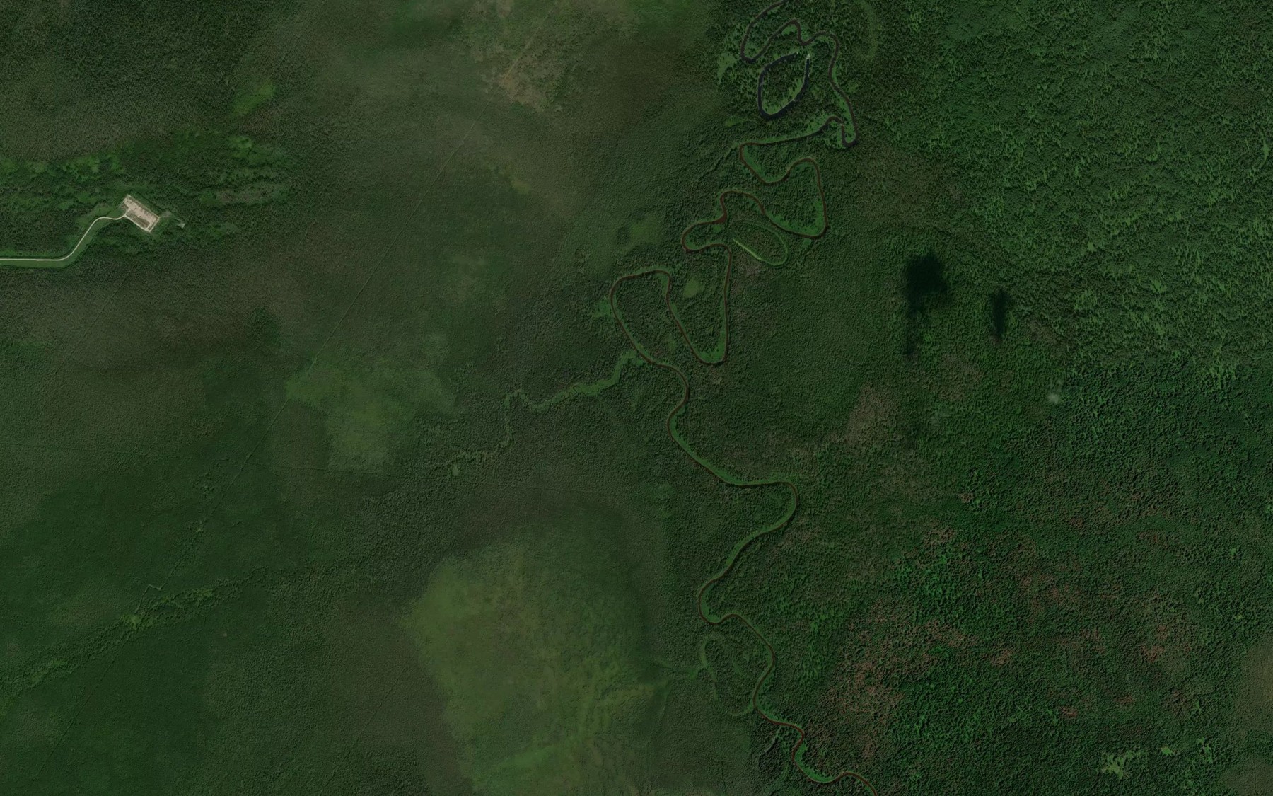 Satellite map of the Bolotnaya