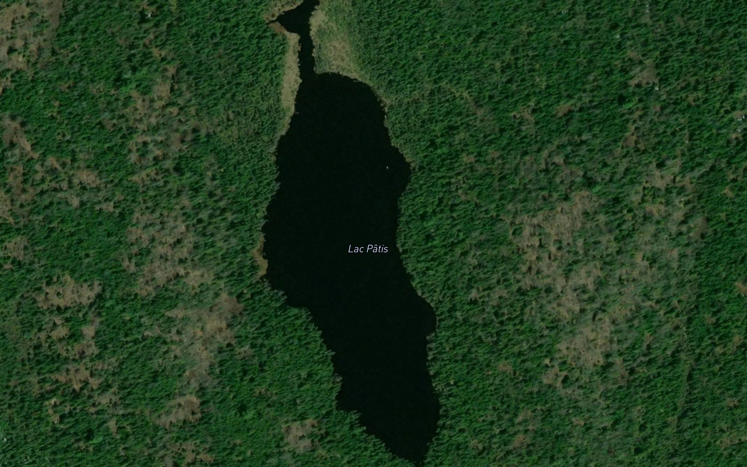 Lac Patis