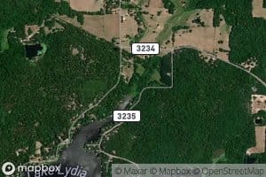 Chinquapin Branch