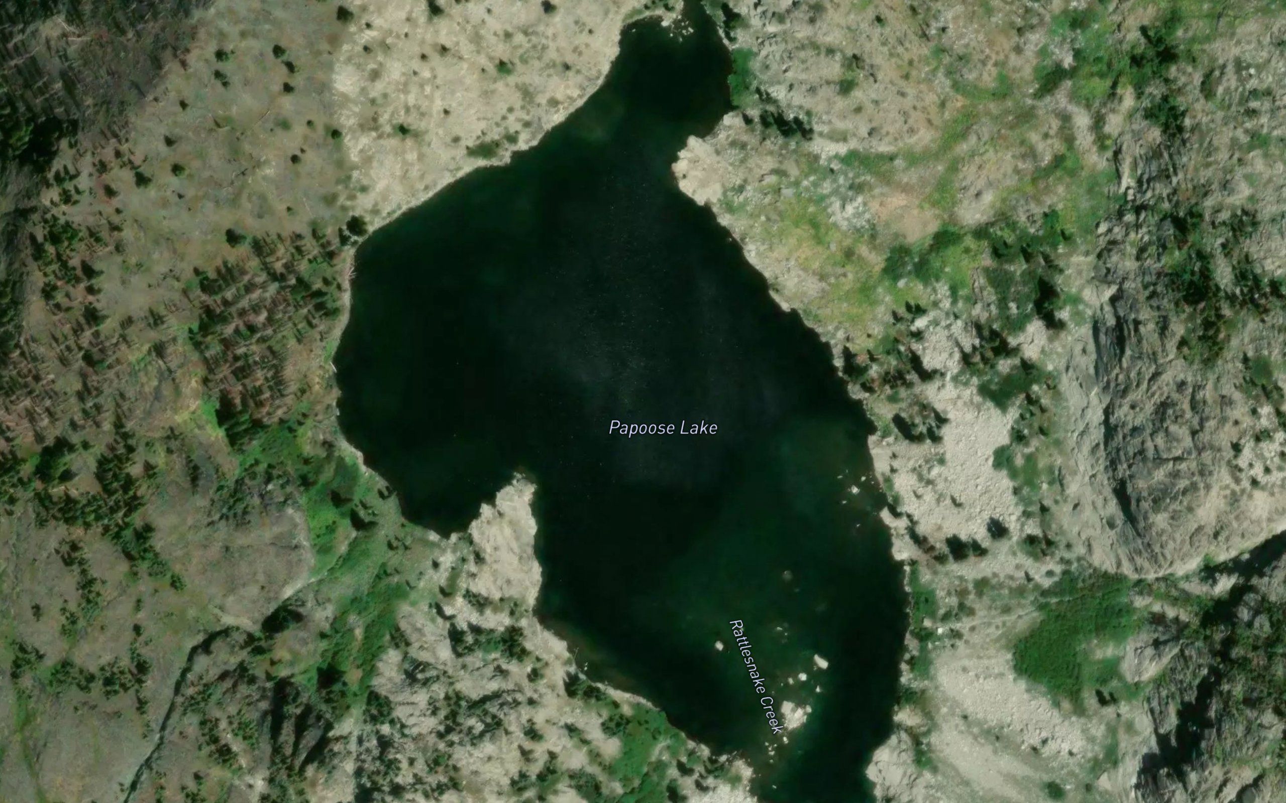 Papoose Lake