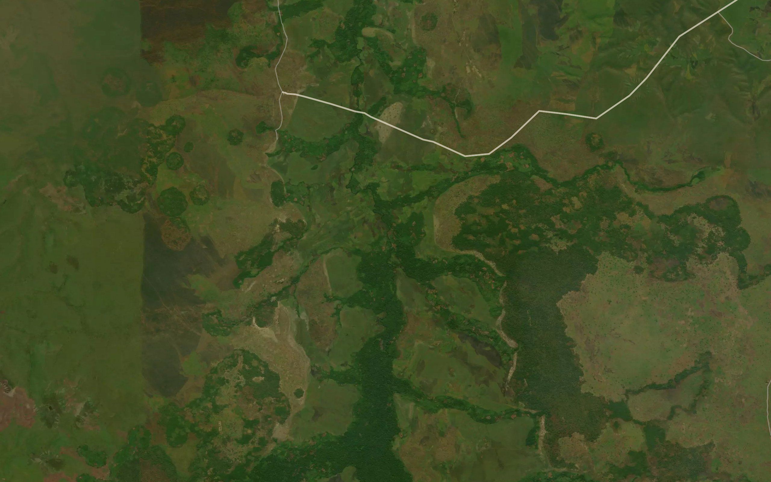 Konzi
