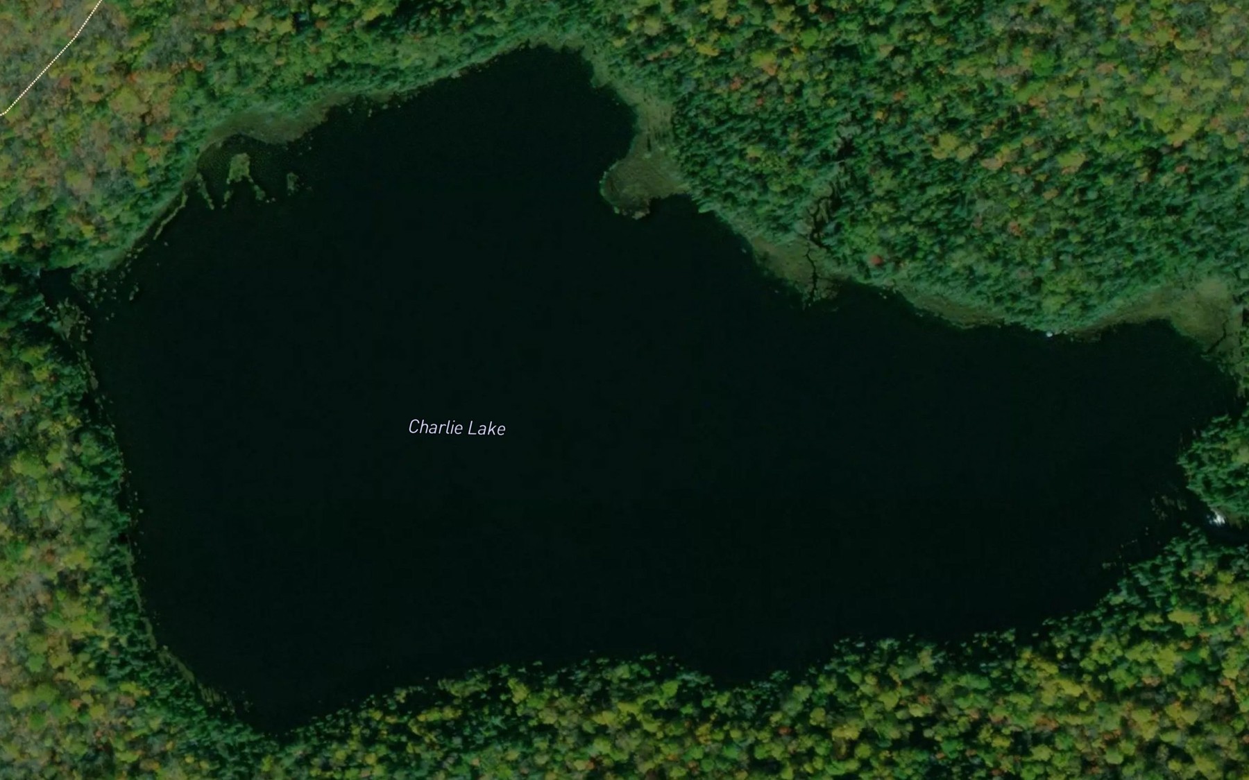 Satellite map of the Charlie Lake