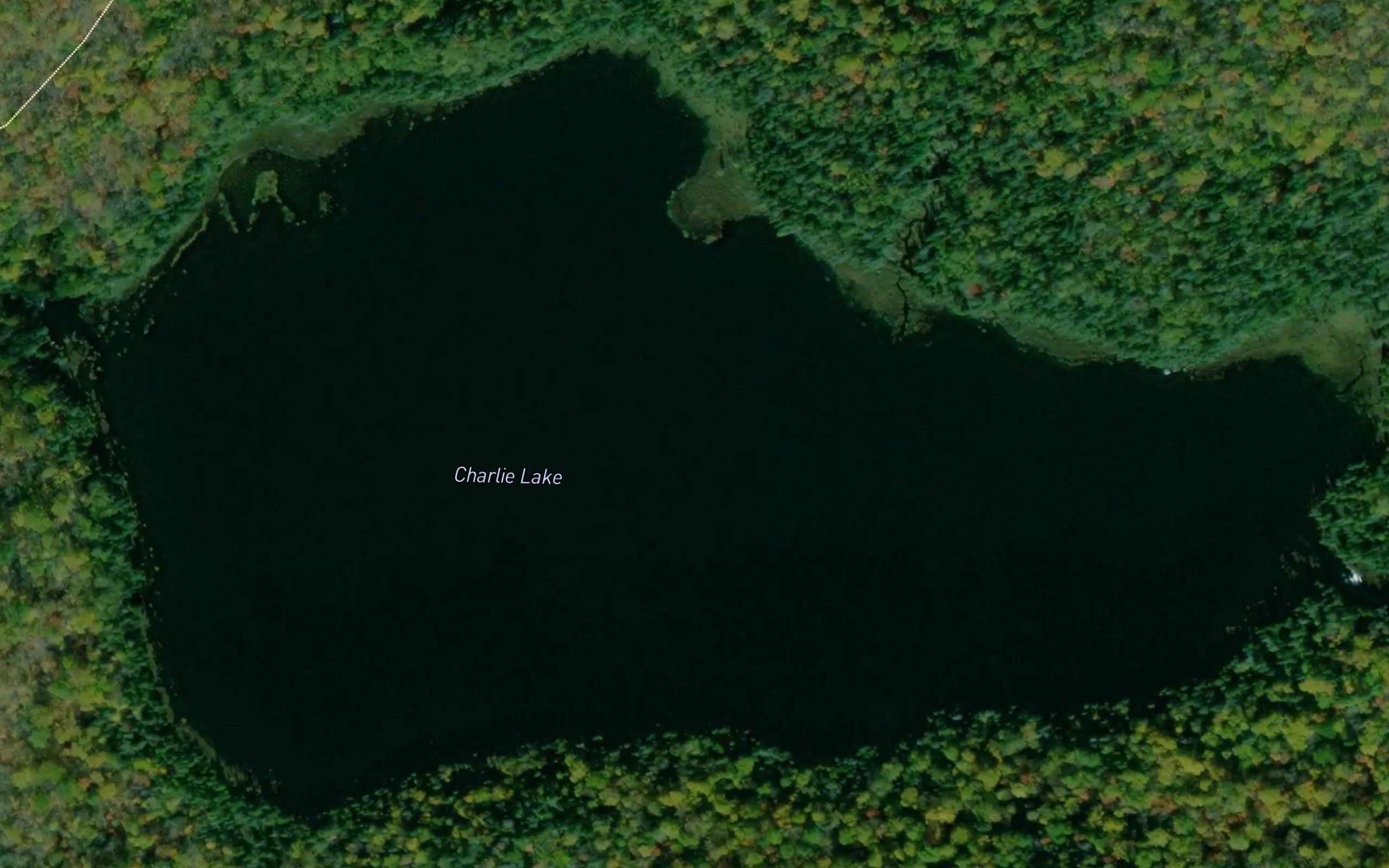 Charlie Lake