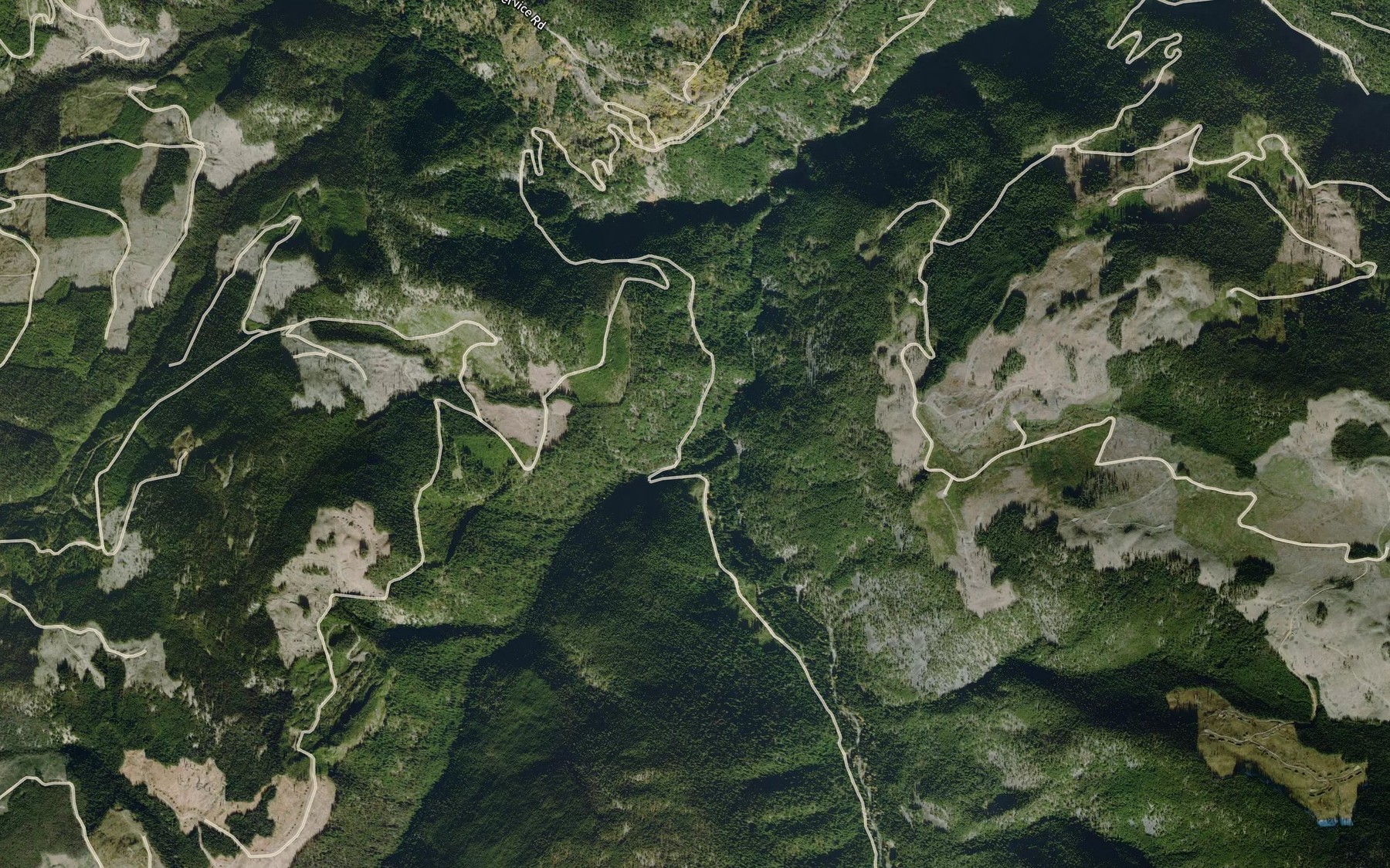 Satellite map of the Newton Creek